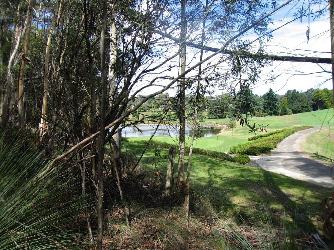 43-45 Hargraves Street, Blackheath NSW 2785, Blackheath - Thumbnail 3