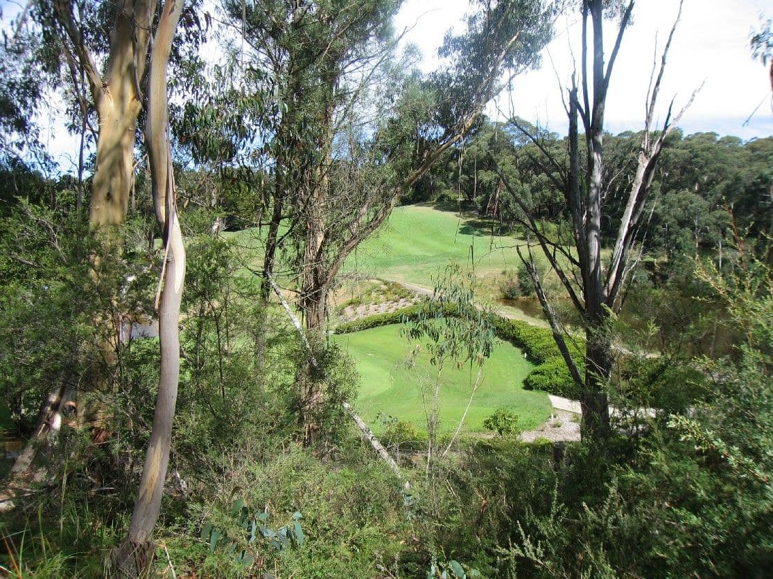 43-45 Hargraves Street, Blackheath NSW 2785, Blackheath - Thumbnail 4