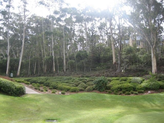 43-45 Hargraves Street, Blackheath NSW 2785, Blackheath - Thumbnail 5