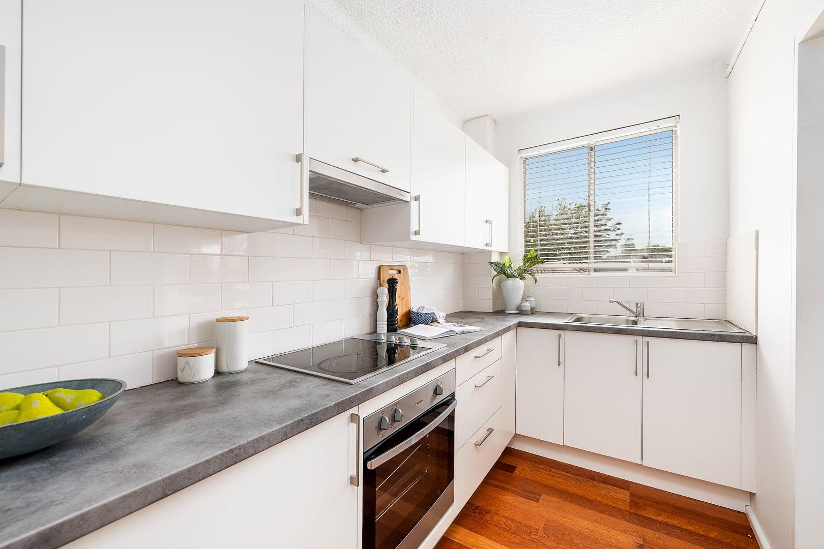 289 Stanmore Road, Petersham NSW 2049, Petersham - Thumbnail 2