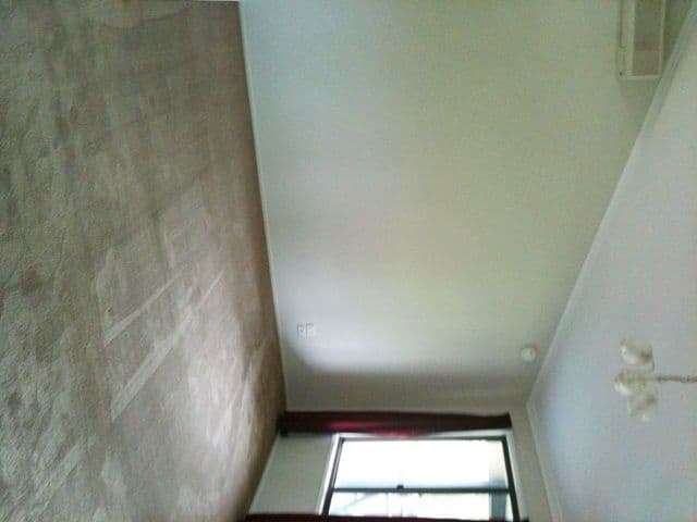 40 Brenda Court, Collingwood Park, QLD, 4301, Collingwood Park - Thumbnail 4