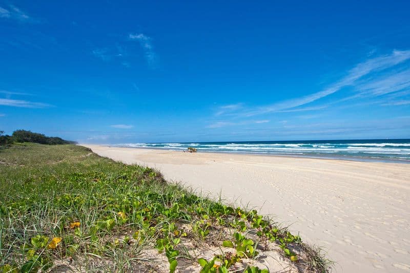 39 Beech Lane, CASUARINA NSW 2487, Casuarina - Thumbnail 5