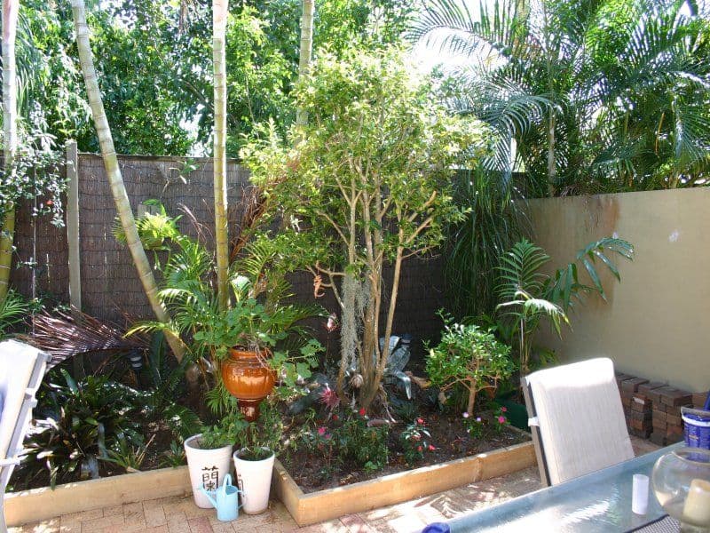 18 Poinciana Crescent, BUNDALL QLD 4217, Bundall - Thumbnail 4