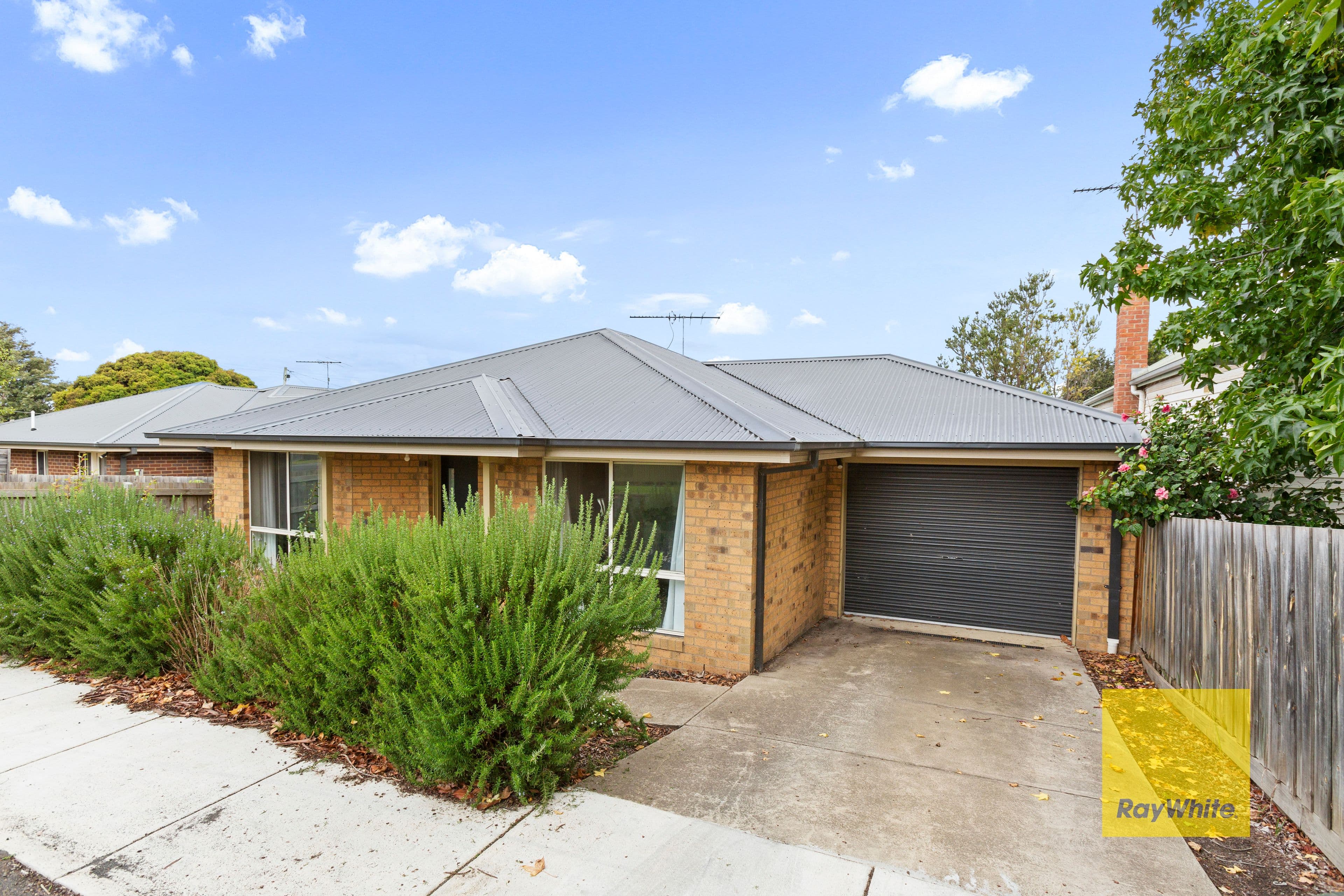 1A Cambra Road, Belmont VIC 3216, Belmont - Thumbnail 2