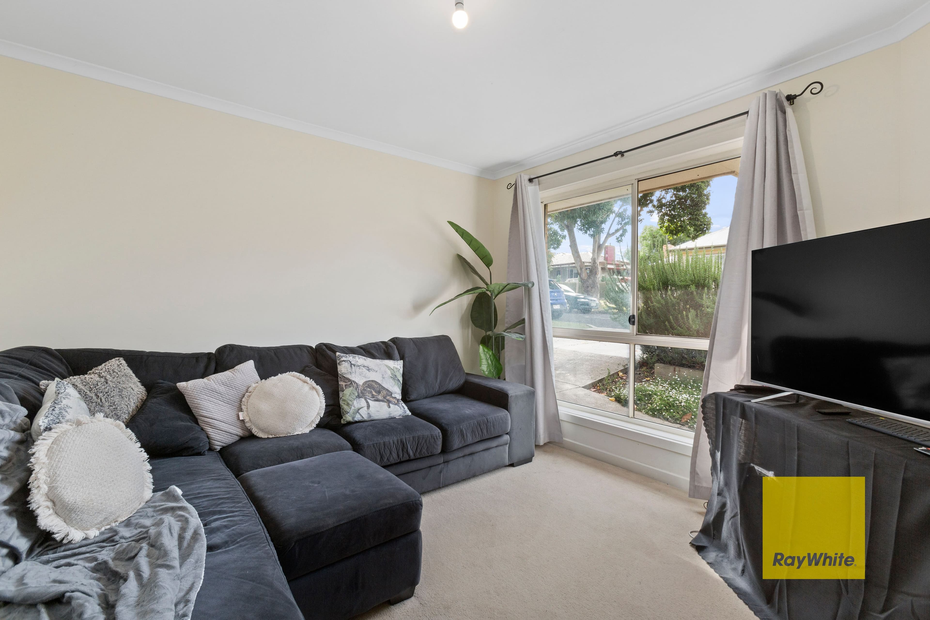 1A Cambra Road, Belmont VIC 3216, Belmont - Thumbnail 3
