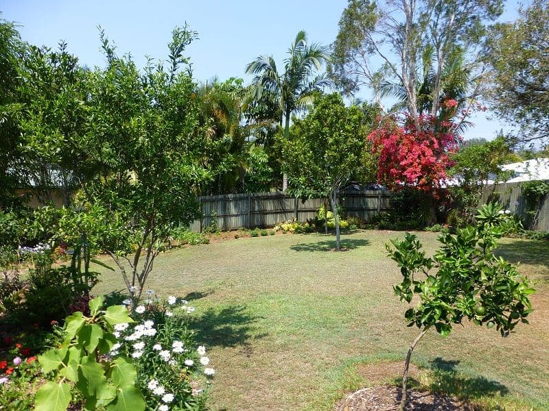 6 Joni Court, BLI BLI QLD 4560, Bli Bli - Thumbnail 6