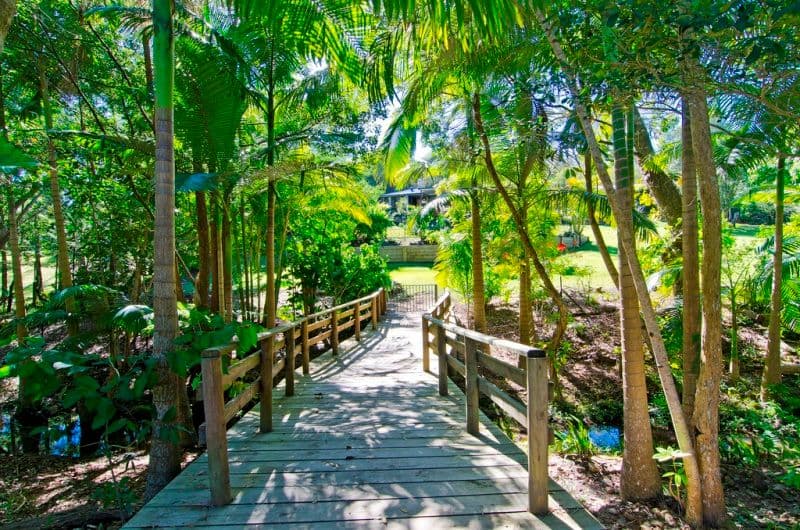 4 Coorabin Court, TALLEBUDGERA QLD 4228, Tallebudgera - Thumbnail 5