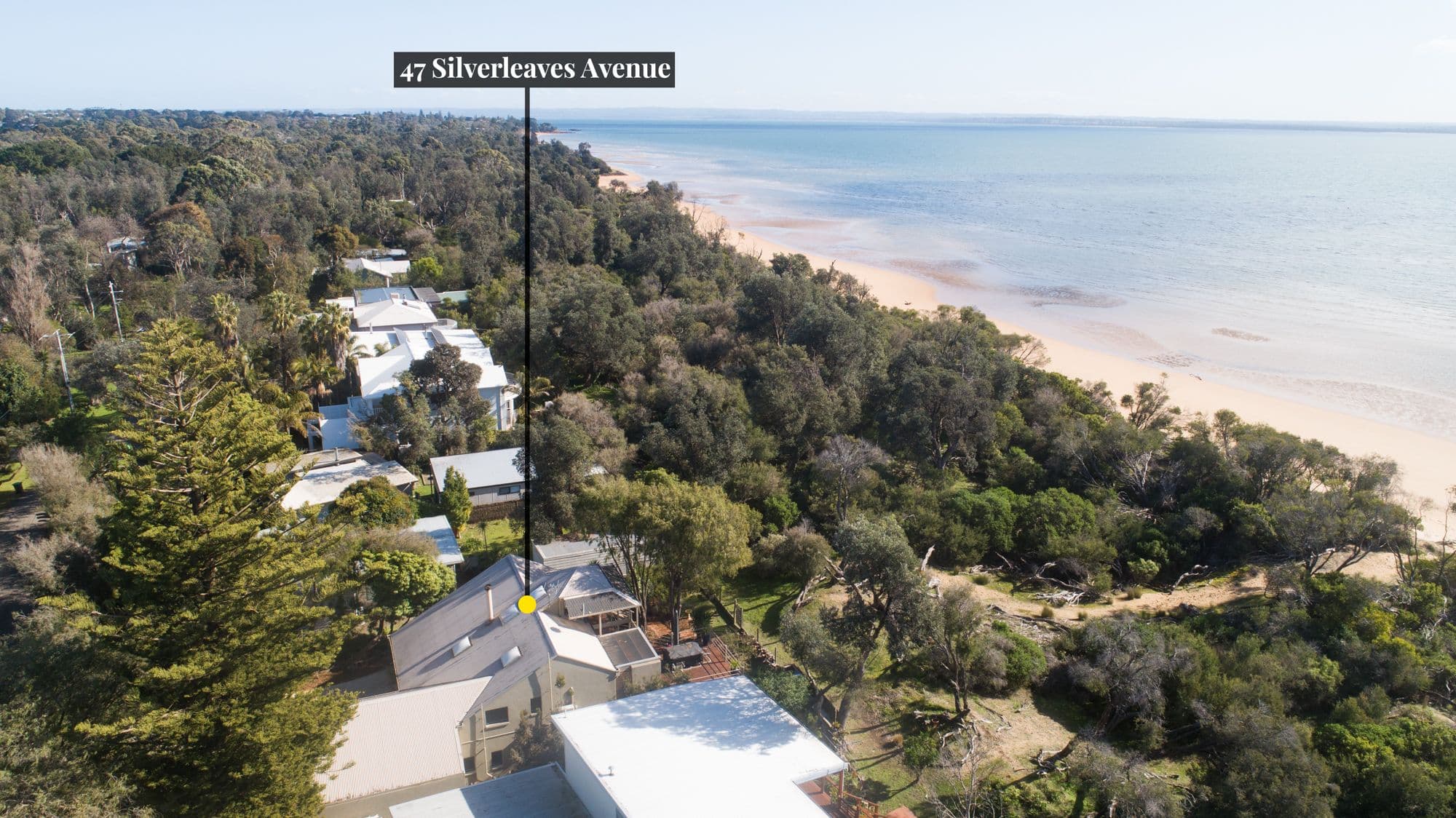47 Silverleaves Avenue, Silverleaves VIC 3922, Silverleaves - Thumbnail 2