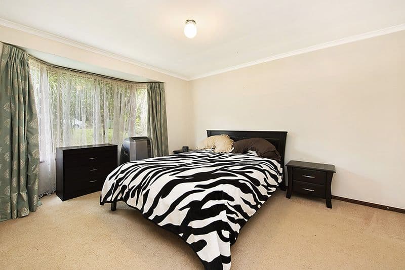 14 Camelia Court, Palmwoods QLD 4555, Palmwoods - Thumbnail 5