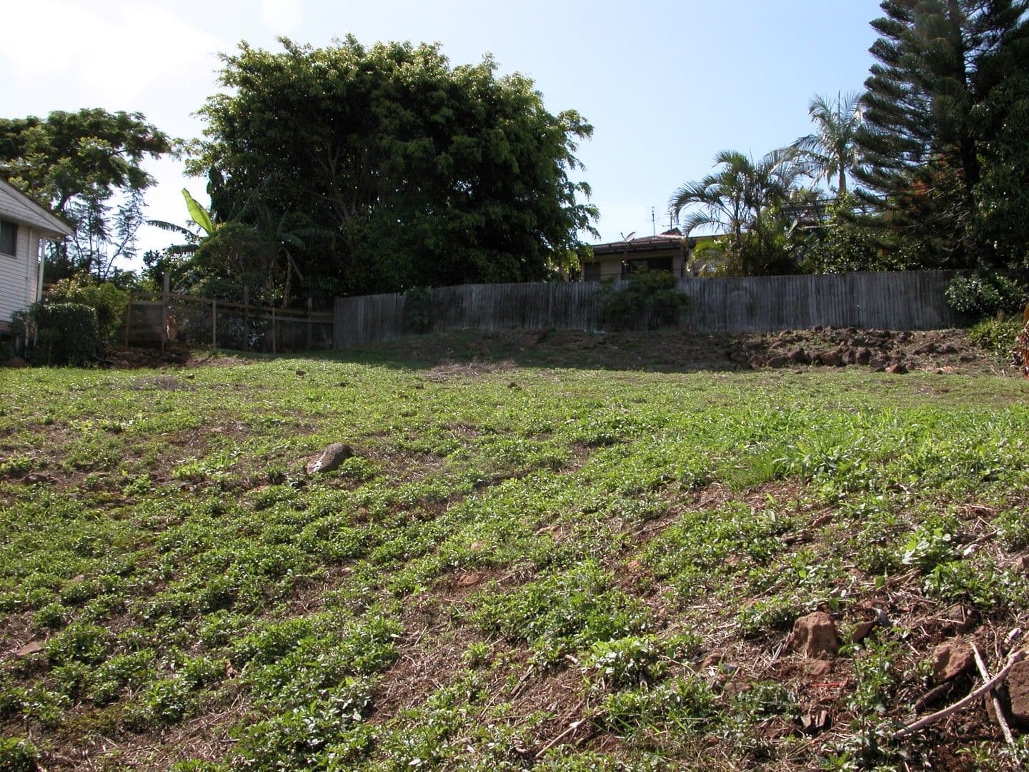 12 Elsie Street, Banora Point NSW 2486, Banora Point - Thumbnail 2