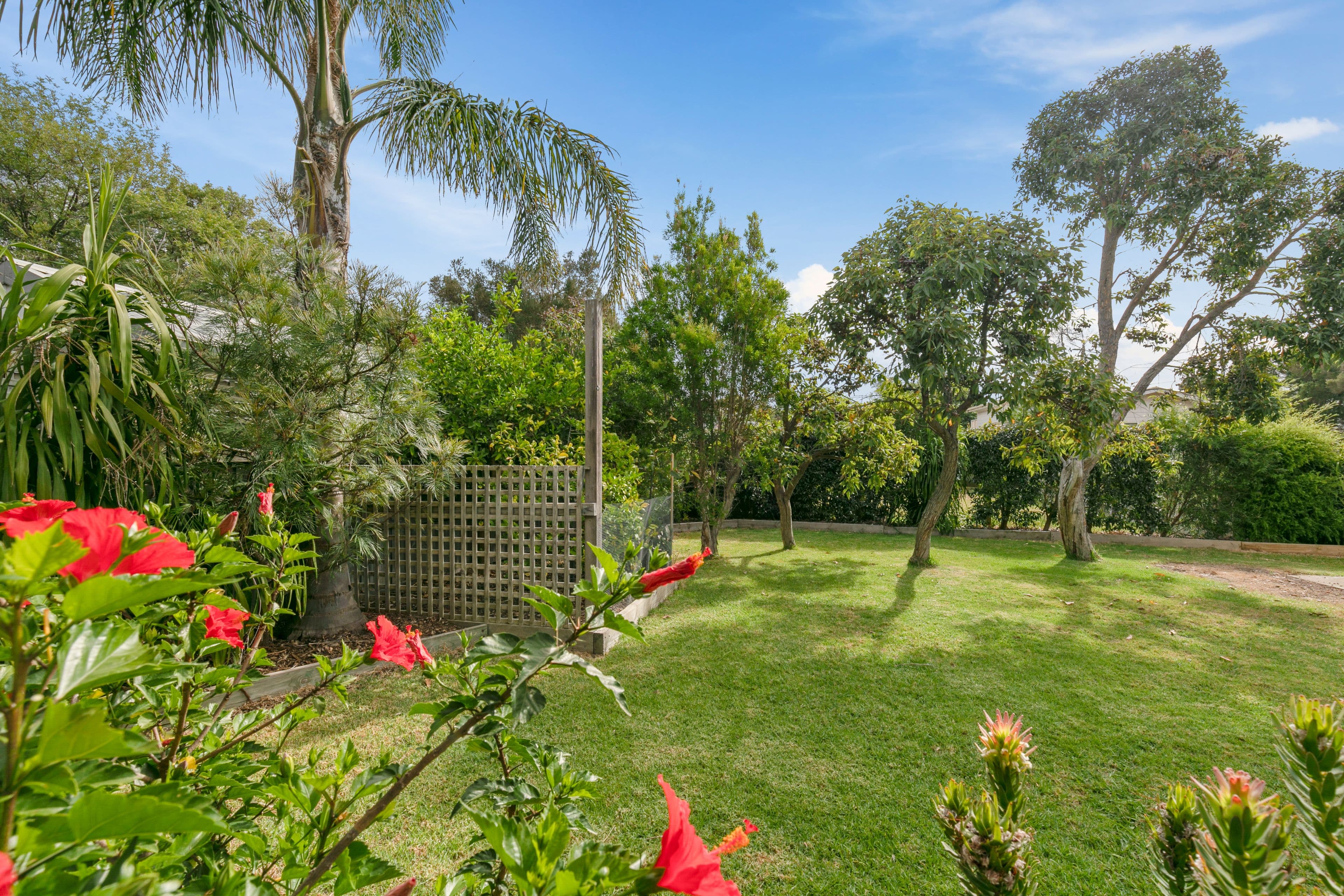 20 Pine Avenue, Cowes VIC 3922, Cowes - Thumbnail 3