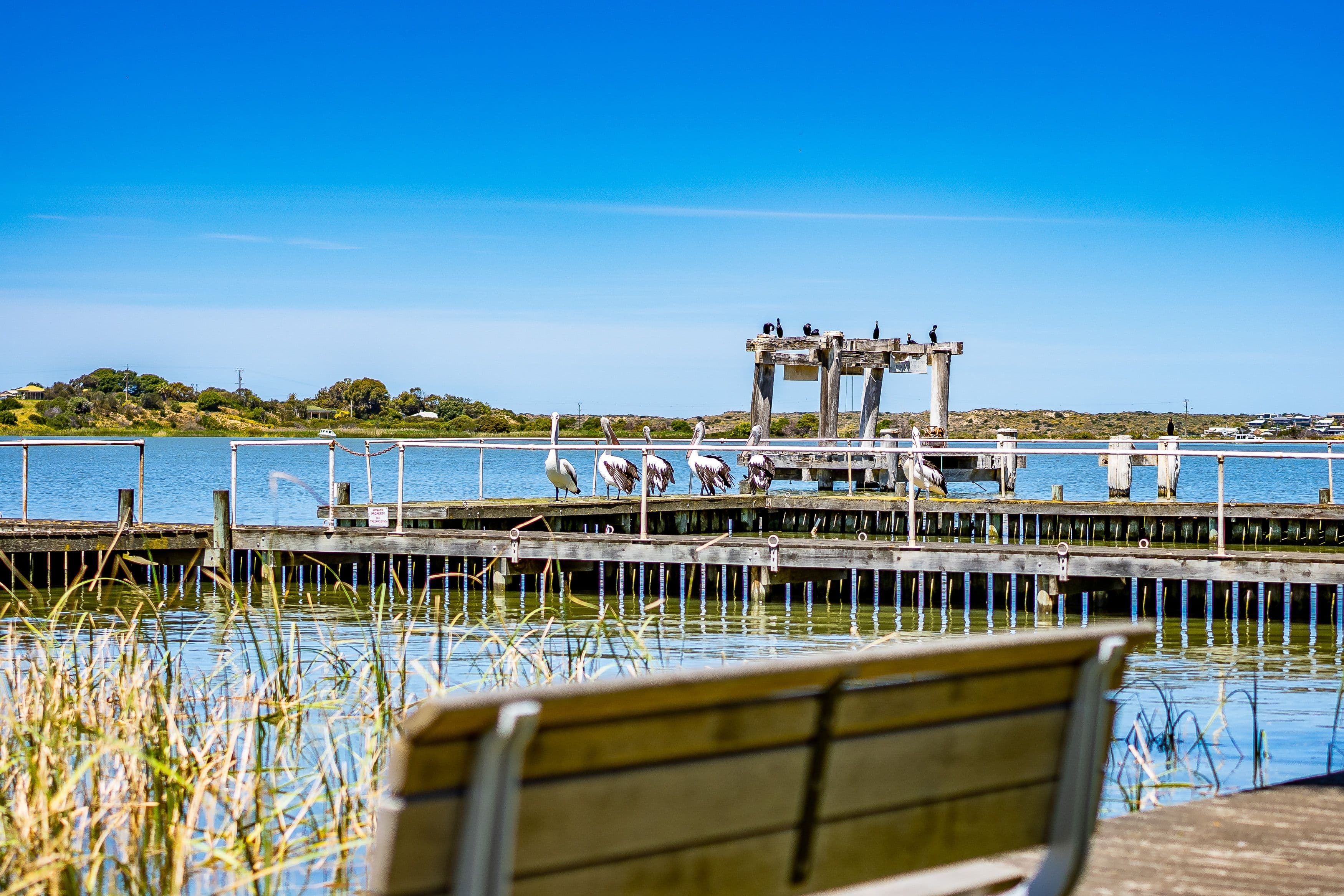 234 Liverpool Road, Goolwa SA 5214, Goolwa - Thumbnail 6