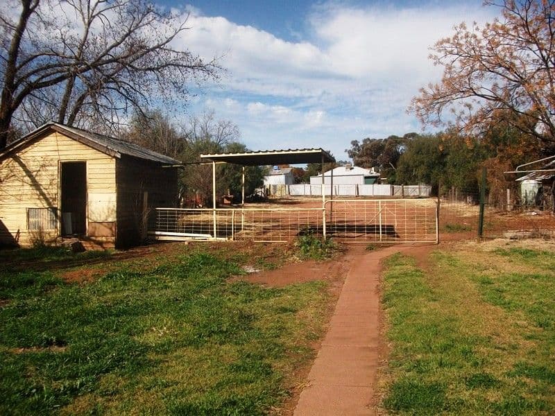 23 Melrose Street, CONDOBOLIN NSW 2877, Condobolin - Thumbnail 8