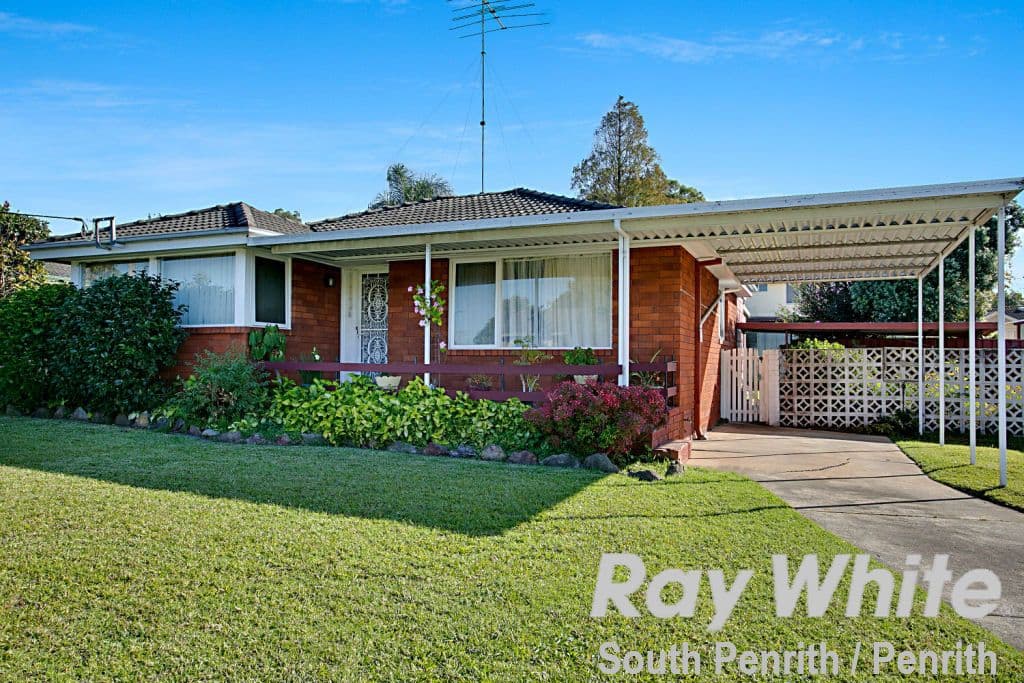 169 Evan Street, South Penrith - Thumbnail 8