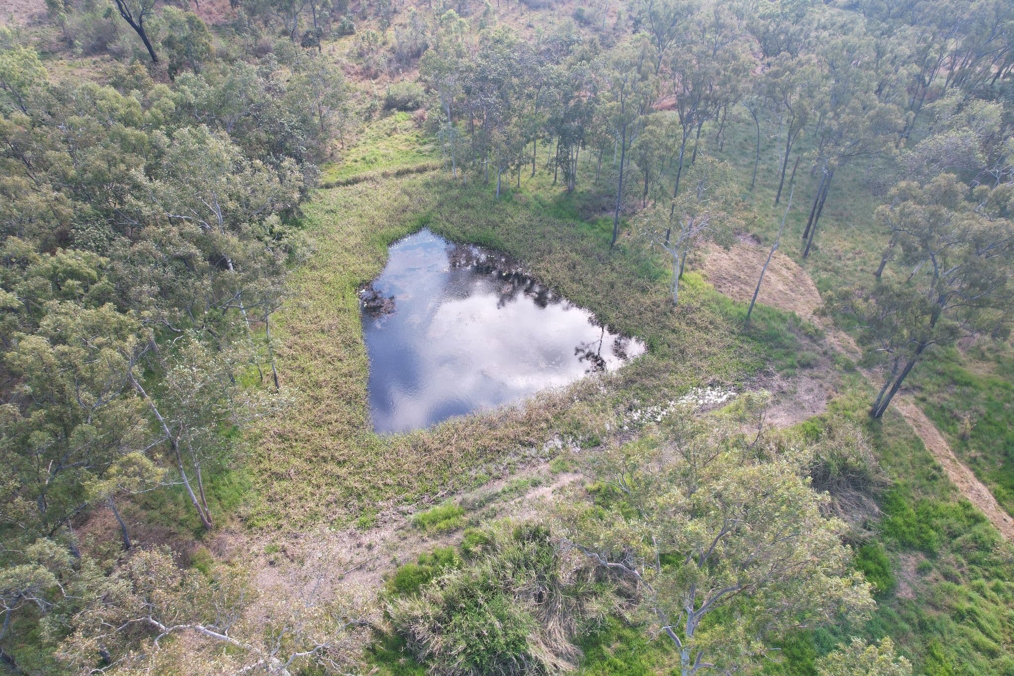 0 Petersen Road, Koumala QLD 4738, Koumala - Thumbnail 4
