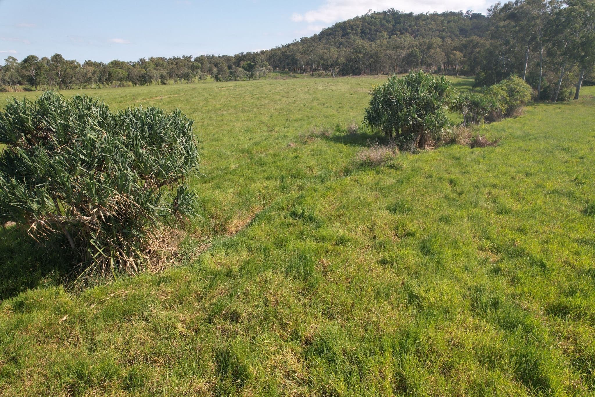 0 Petersen Road, Koumala QLD 4738, Koumala - Thumbnail 5