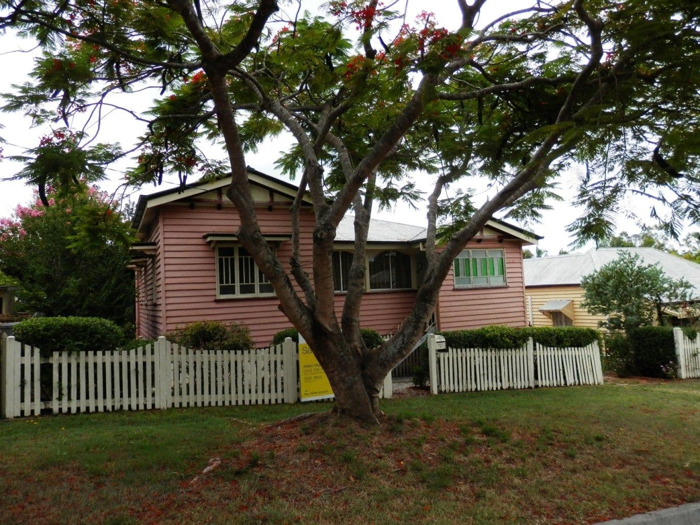 19 Thomas Street, SADLIERS CROSSING QLD 4305, Sadliers Crossing - Image 1