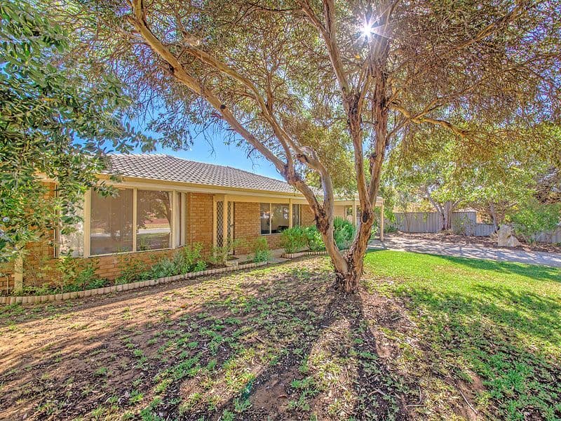 47 MOORPARK Avenue, YANCHEP WA 6035, Yanchep - Thumbnail 7