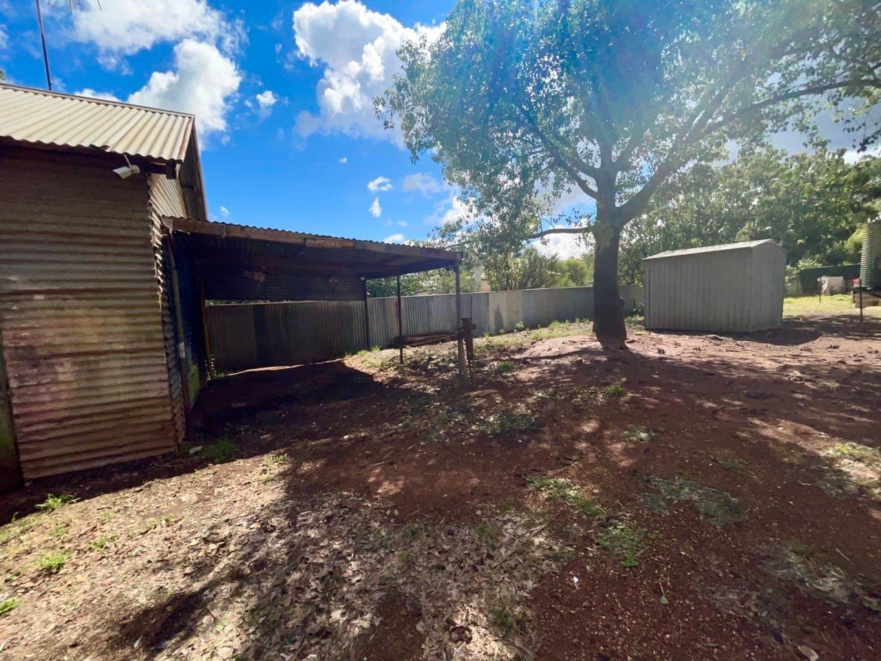 18 Caswell, Peak Hill NSW 2869, Peak Hill - Thumbnail 4