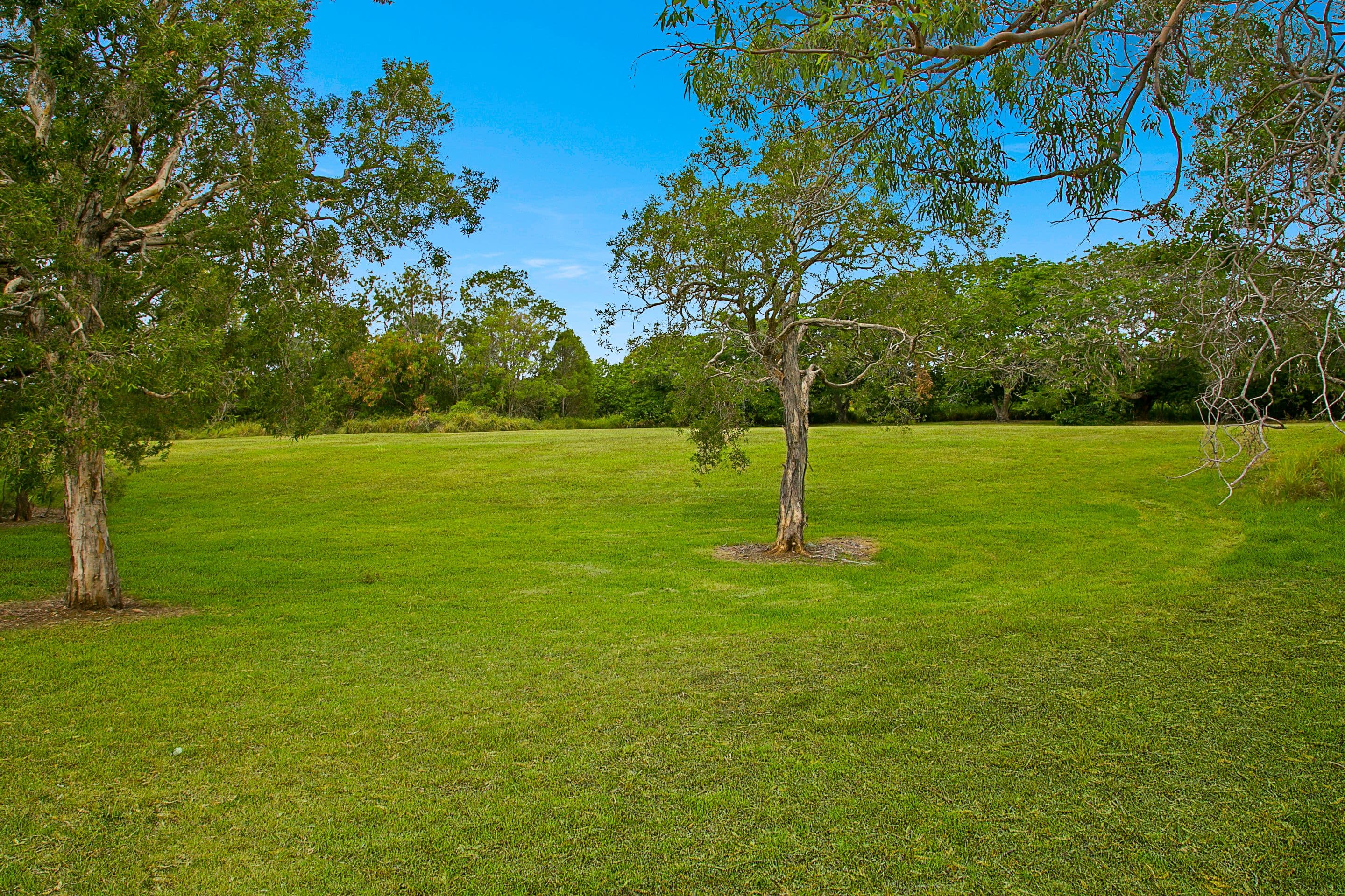13 Arakurta Street, Lota QLD 4179, Lota - Thumbnail 2