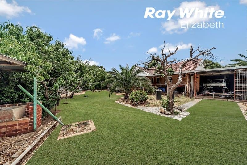 59 St Leonard Crescent, Elizabeth Downs SA 5113, Elizabeth Downs - Thumbnail 7