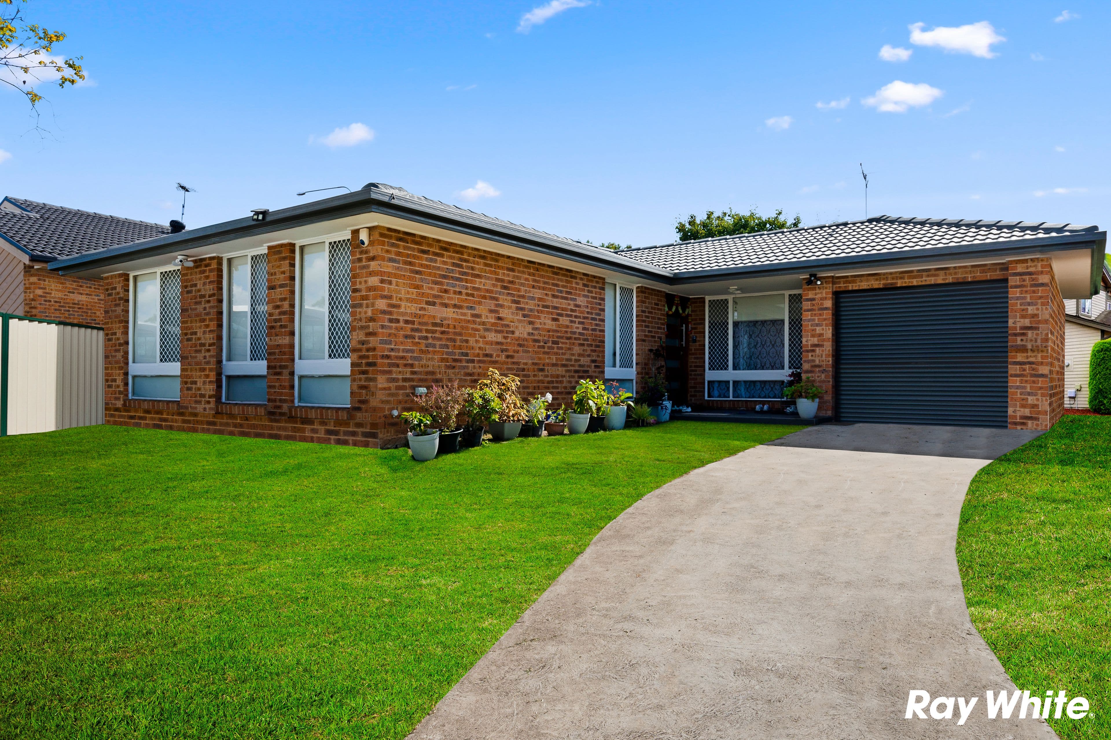 24 Carbone Court, Buronga, Hassall Grove - Image 1