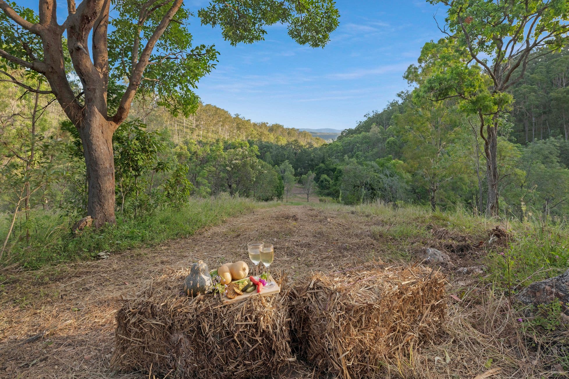 Lot 1 Campbells Road, Boolboonda QLD 4671, Boolboonda - Image 1