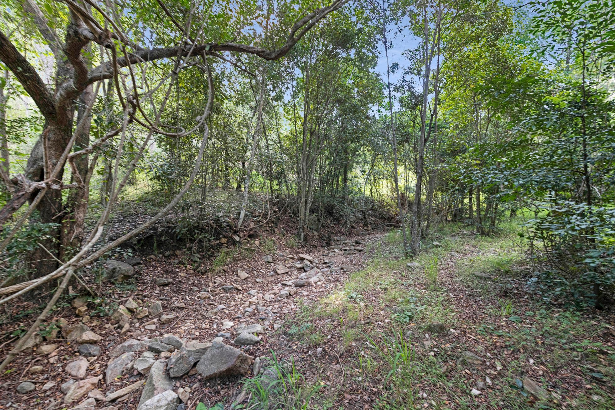 Lot 1 Campbells Road, Boolboonda QLD 4671, Boolboonda - Thumbnail 6