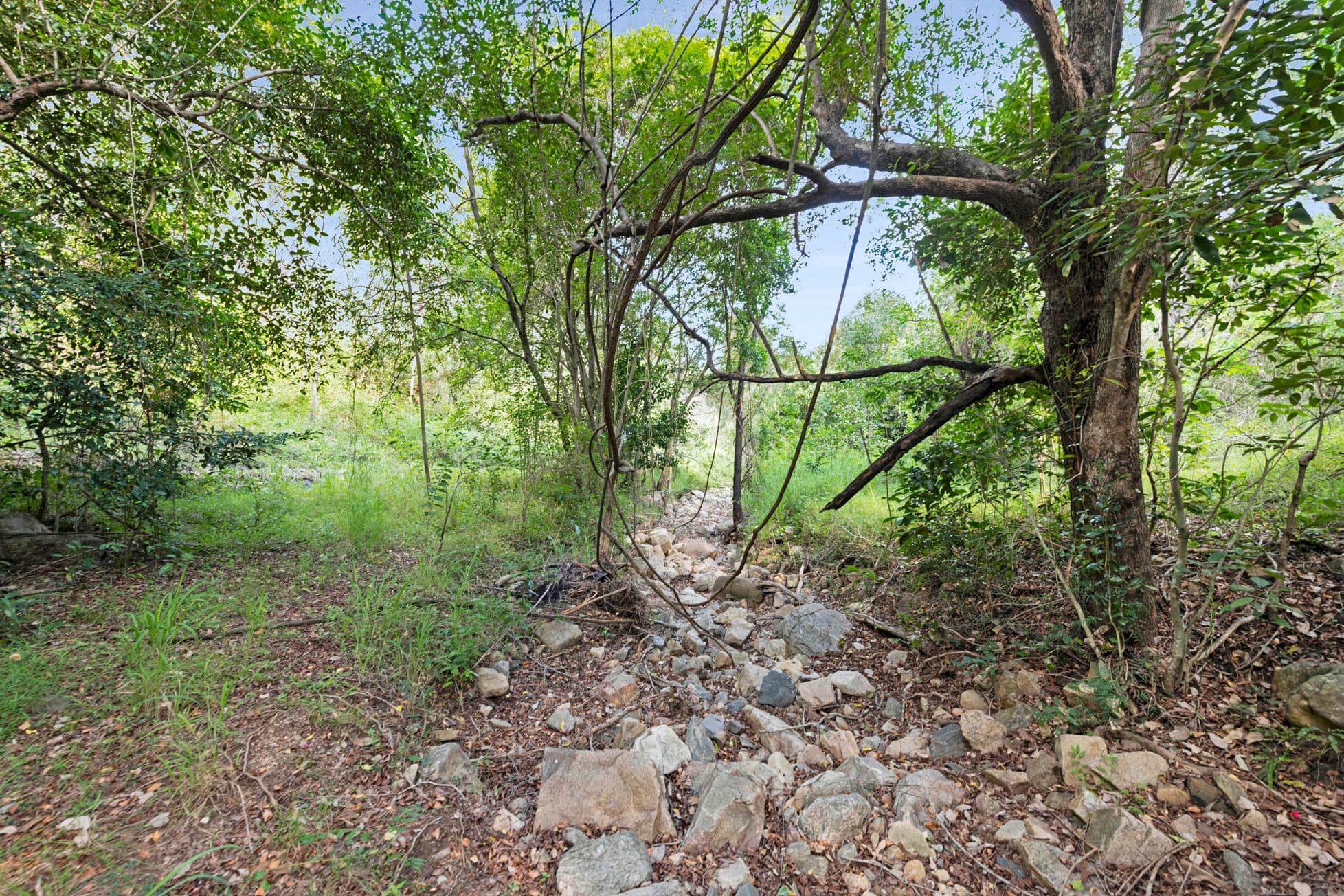 Lot 1 Campbells Road, Boolboonda QLD 4671, Boolboonda - Thumbnail 7