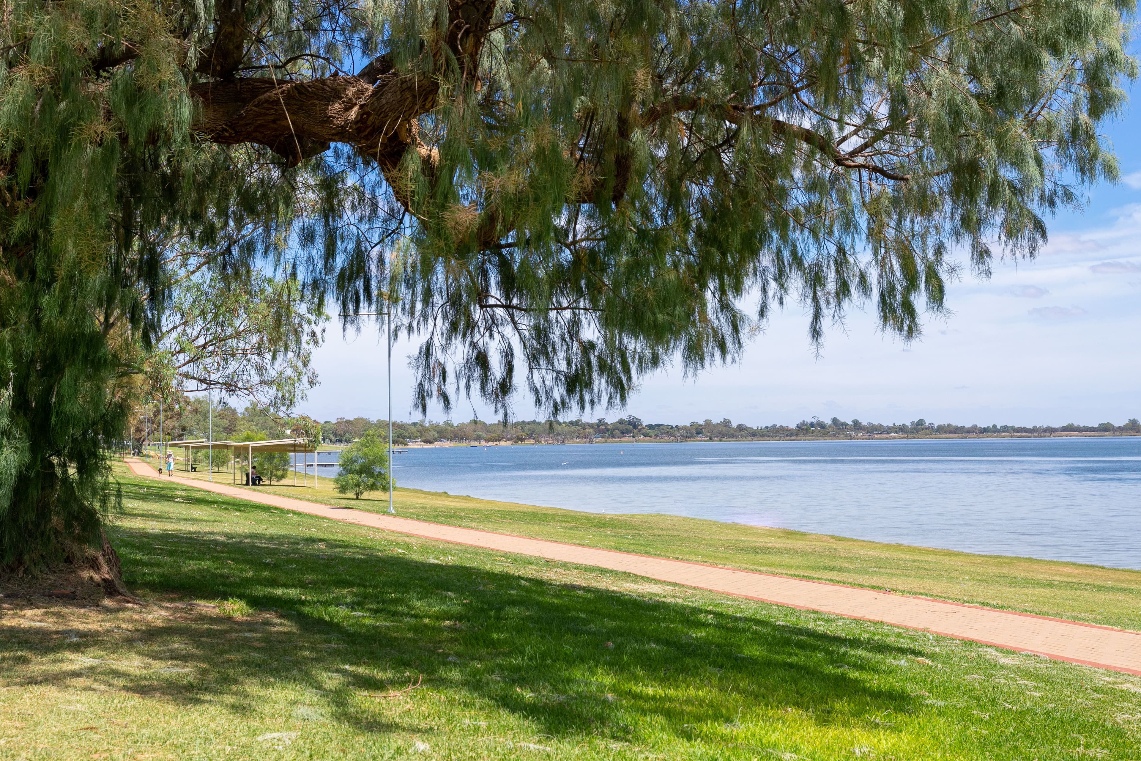 7 Queen Elizabeth Drive, Barmera SA 5345, Barmera - Thumbnail 4