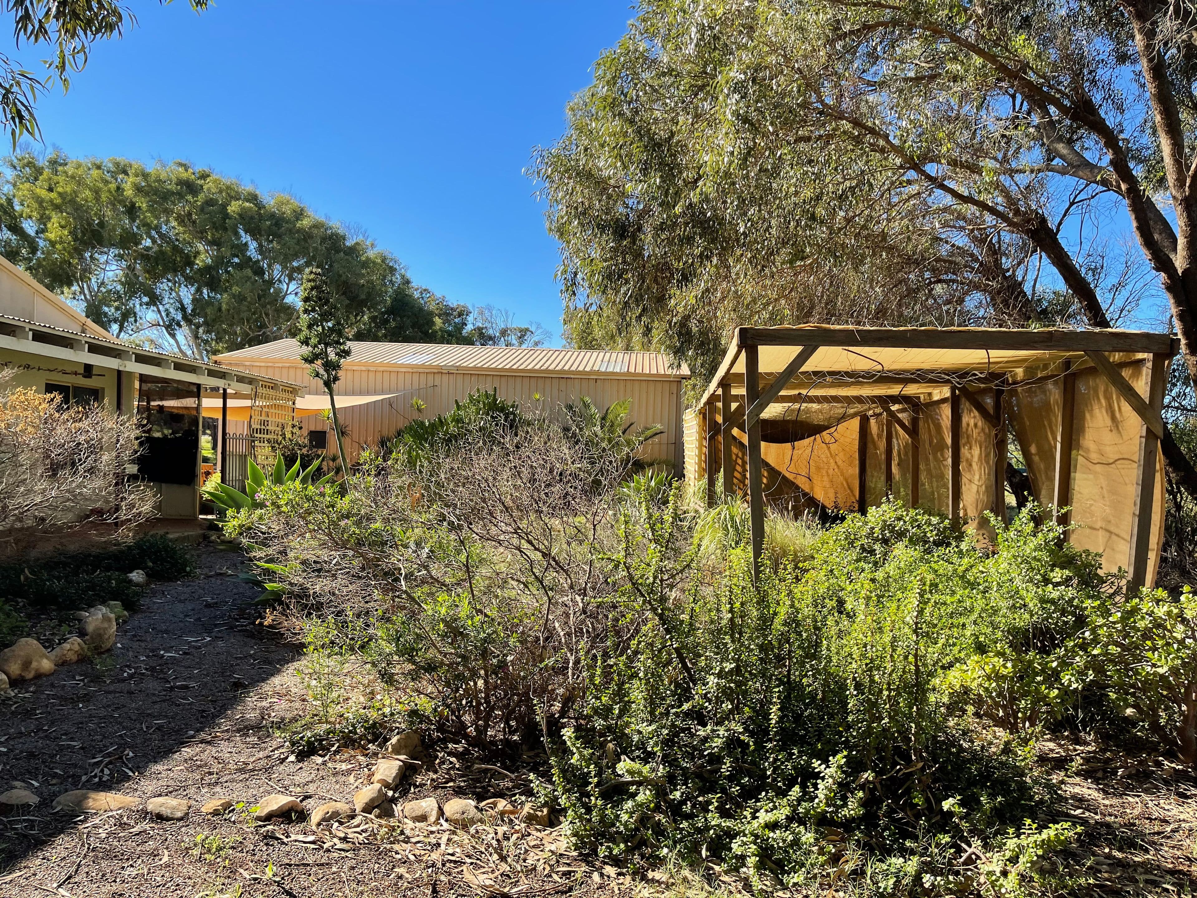 4 Watson Place, Dongara WA 6525, Dongara - Thumbnail 5