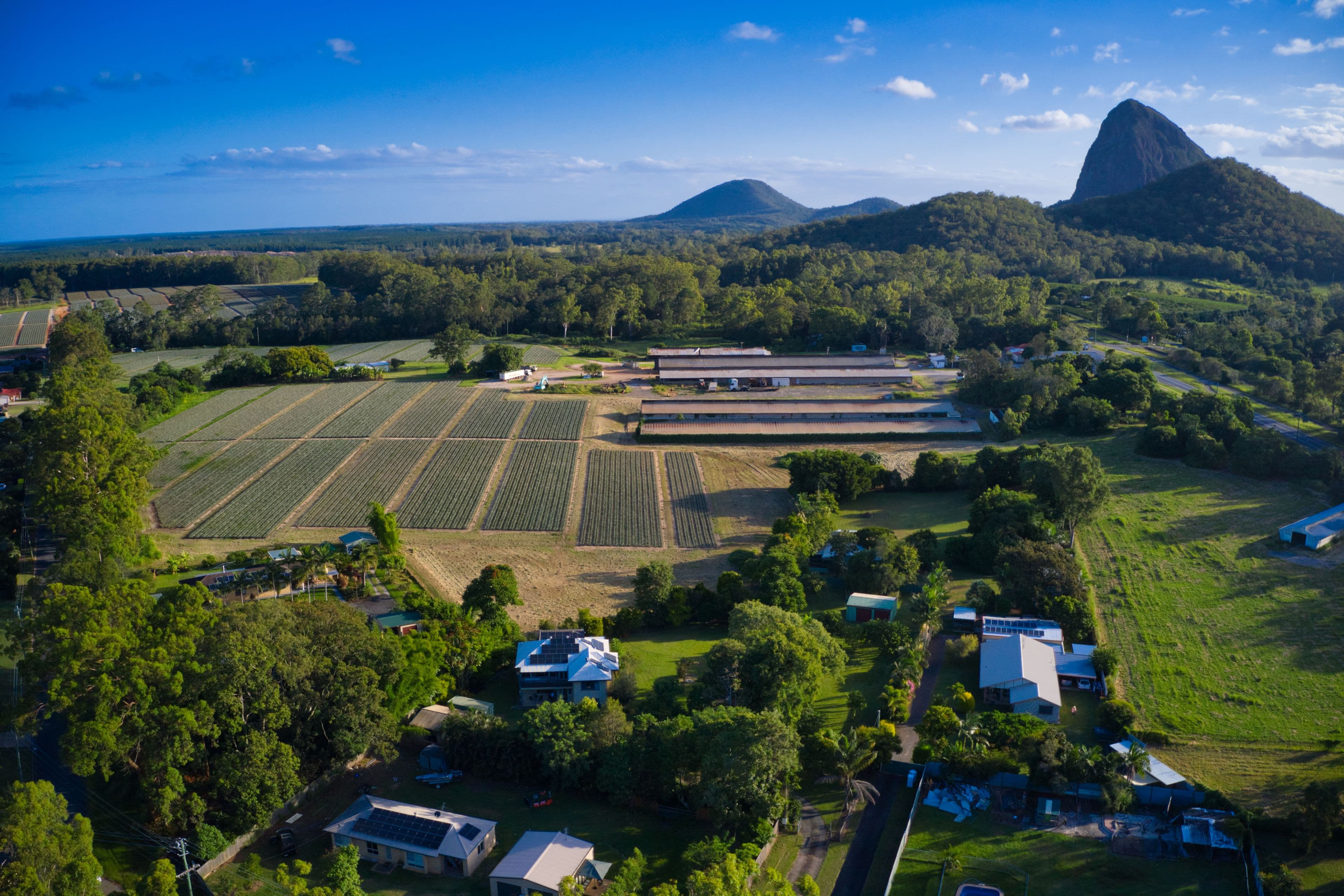22 Bowen Road, Glass House Mountains QLD 4518, Glass House Mountains - Thumbnail 2