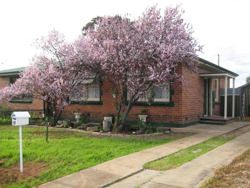 33 Horwood Road, SALISBURY NORTH SA 5108, Salisbury North - Image 1