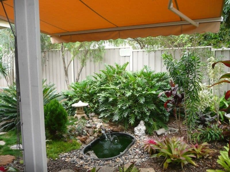 27 Samantha Drive, BLI BLI QLD 4560, Bli Bli - Thumbnail 2