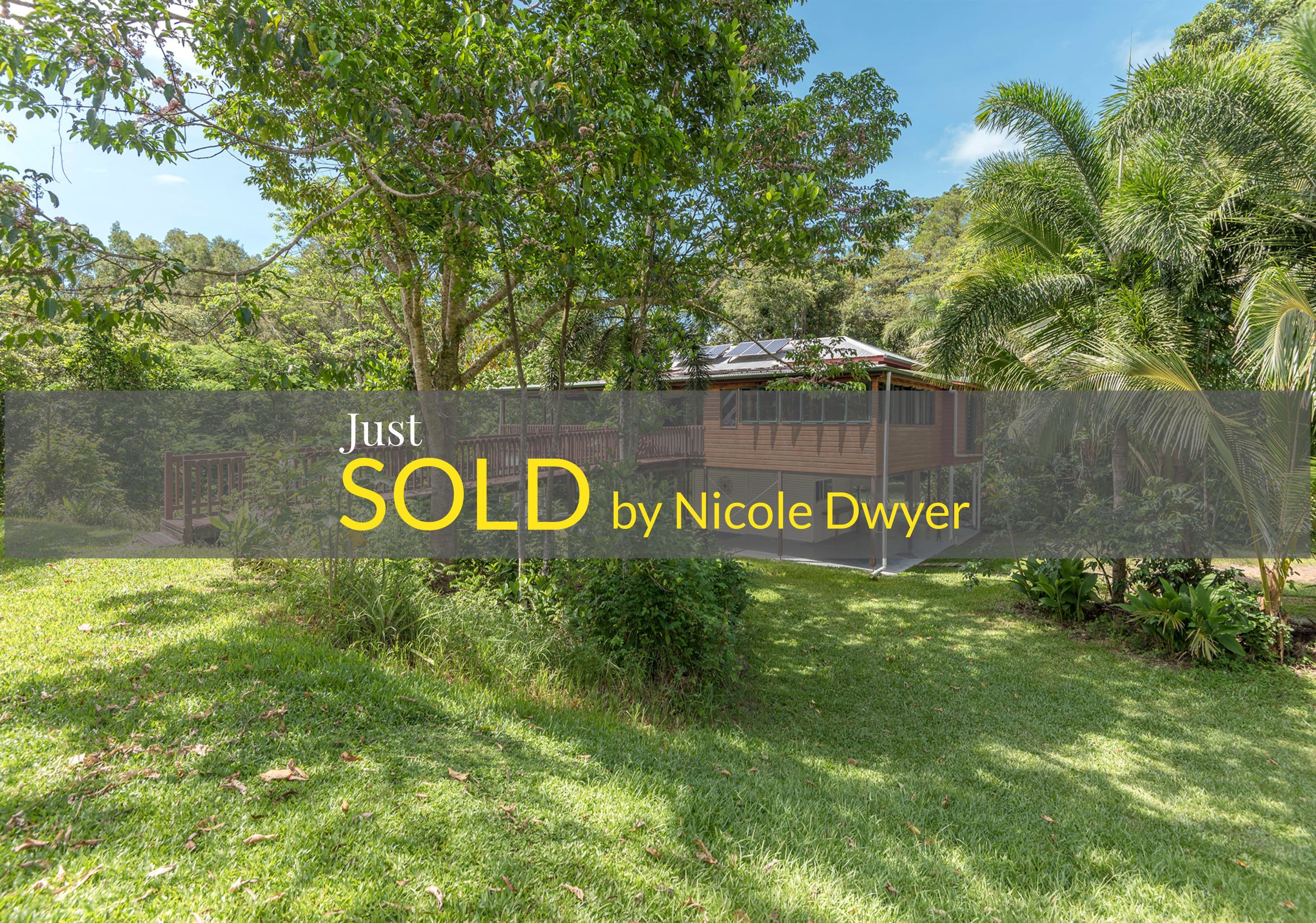 840 Cape Tribulation Road, Kimberley, Daintree QLD 4873, Daintree - Image 1