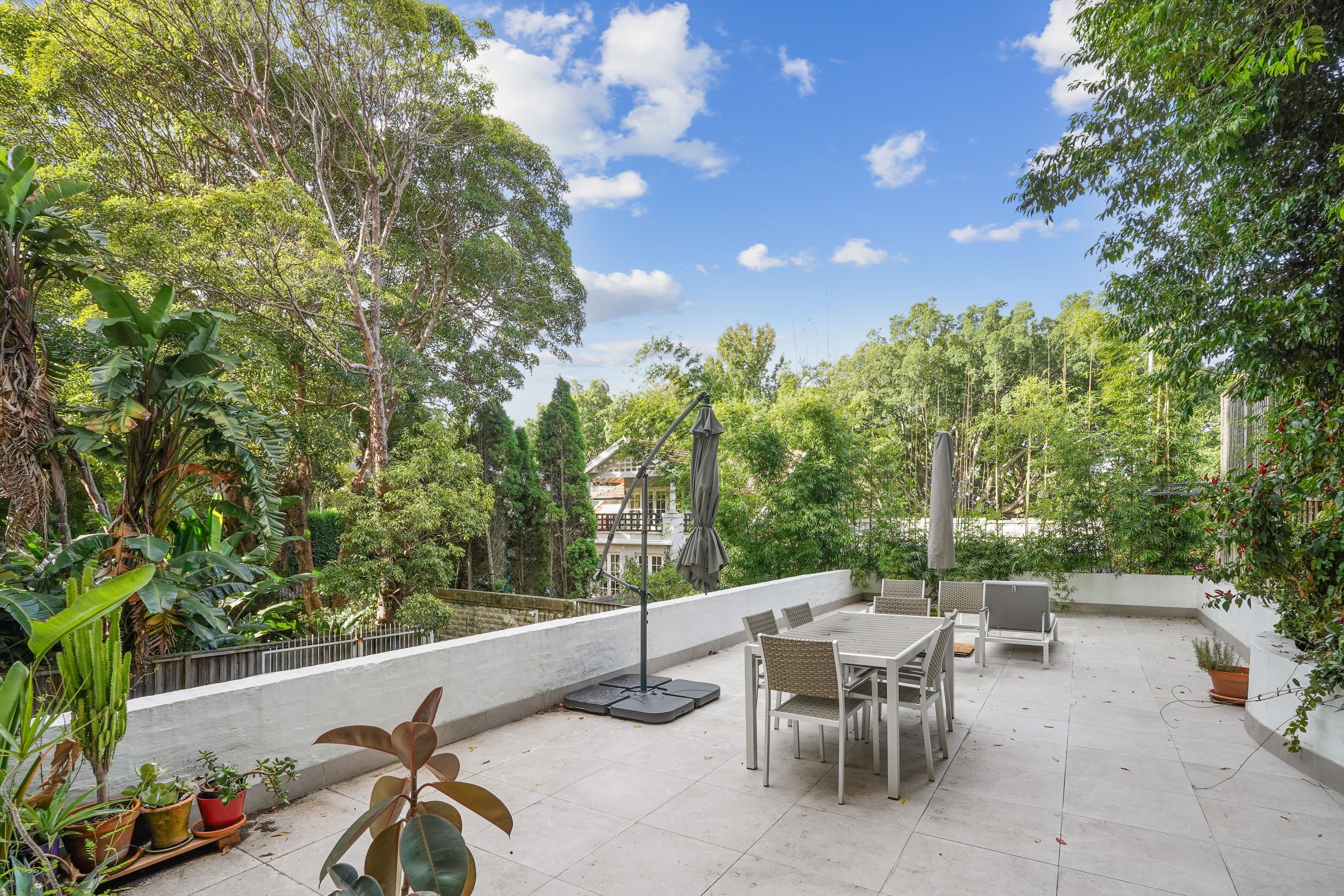 16 Cranbrook Road, Bellevue Hill NSW 2023, Bellevue Hill - Thumbnail 7