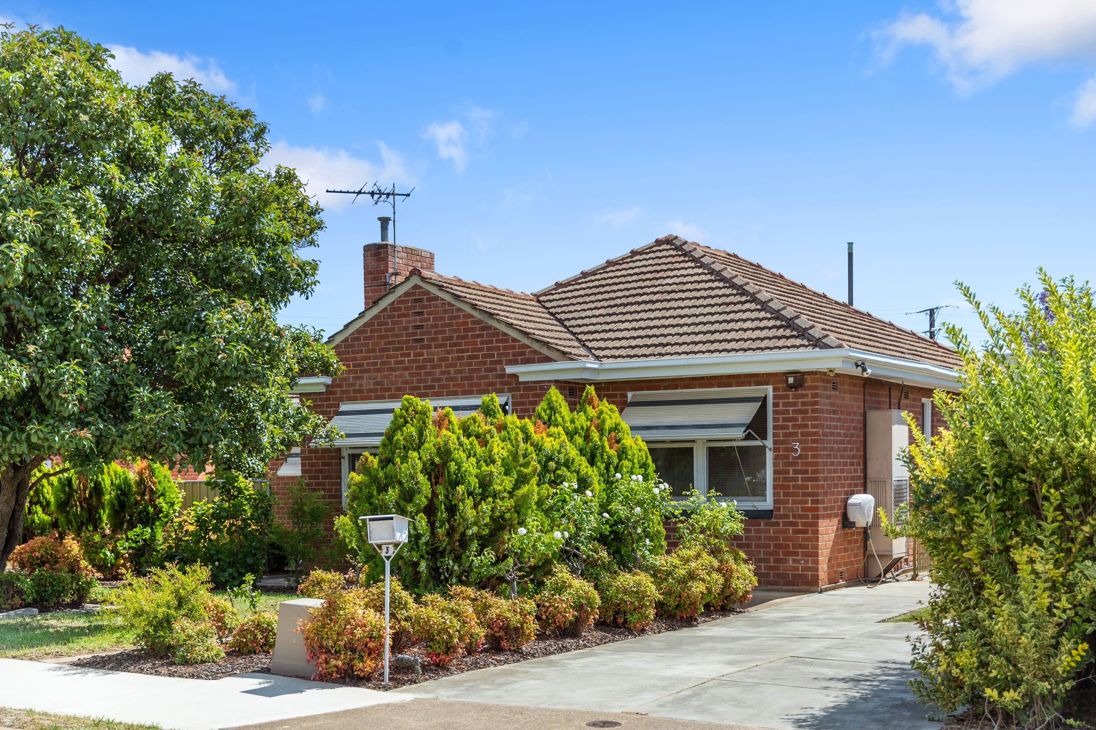 3 Wynette Street, Pennington SA 5013, Pennington - Thumbnail 2