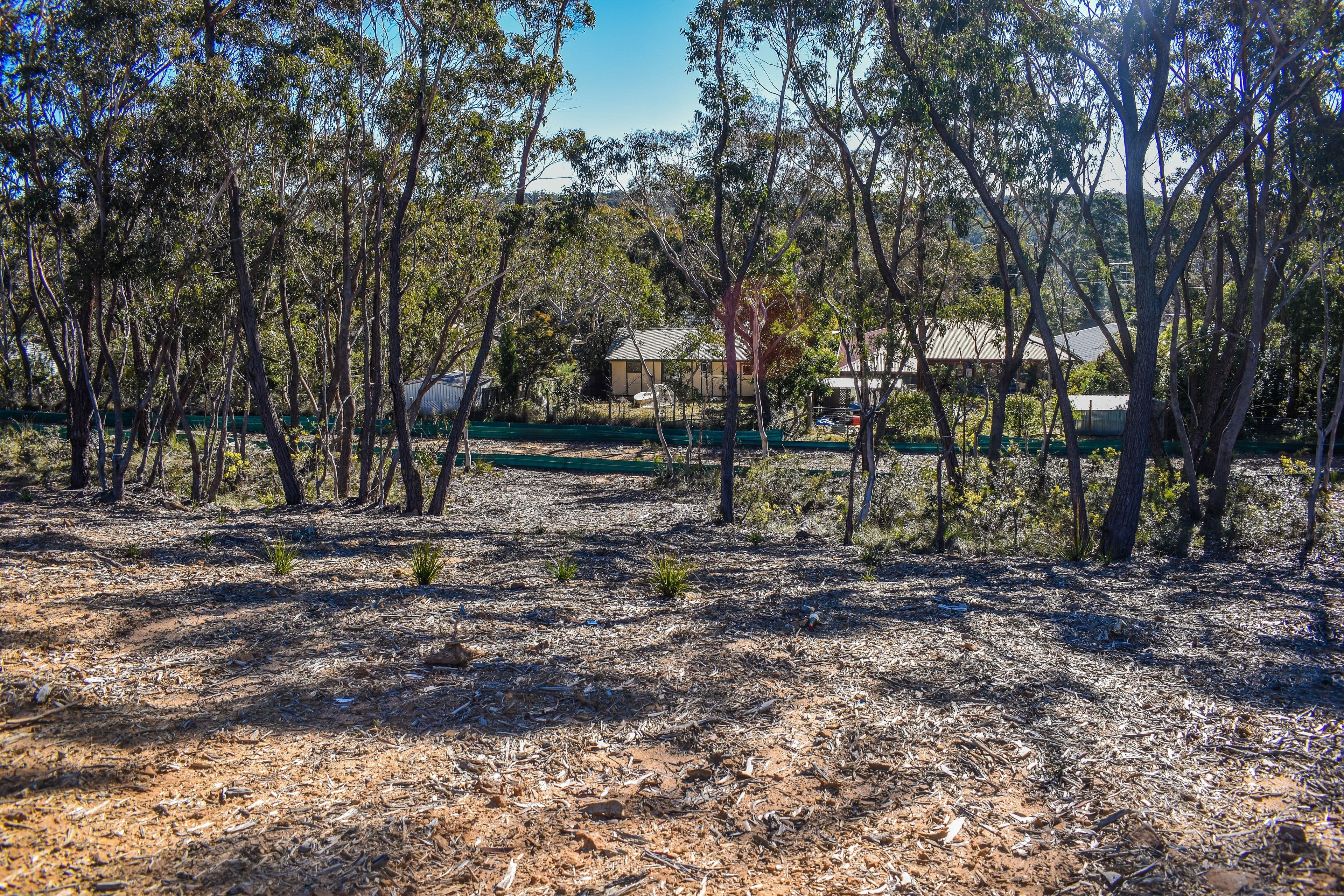 56 St Elmo Avenue, Blackheath NSW 2785, Blackheath - Thumbnail 4