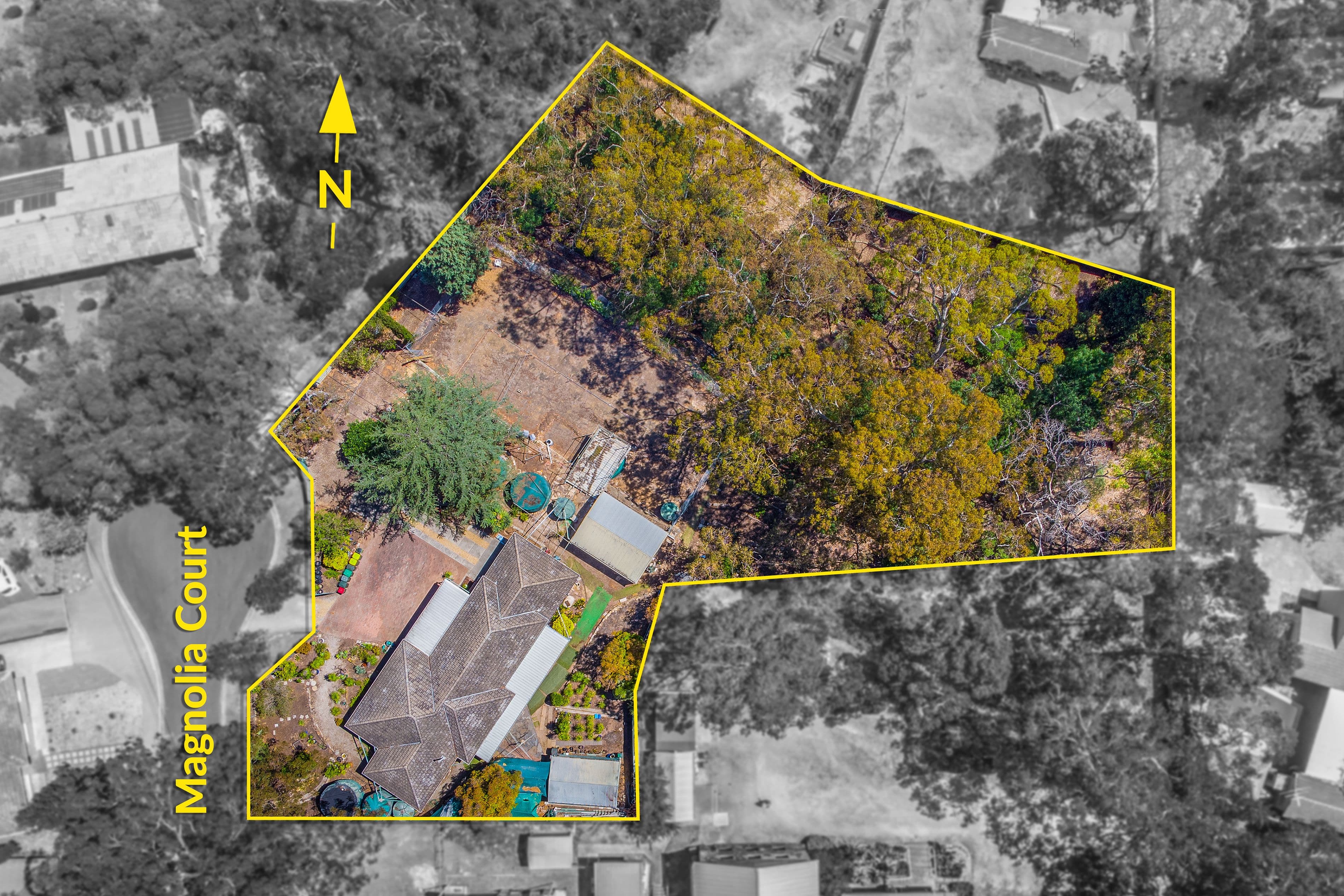1 Magnolia Court, Banksia Park SA 5091, Banksia Park - Image 1