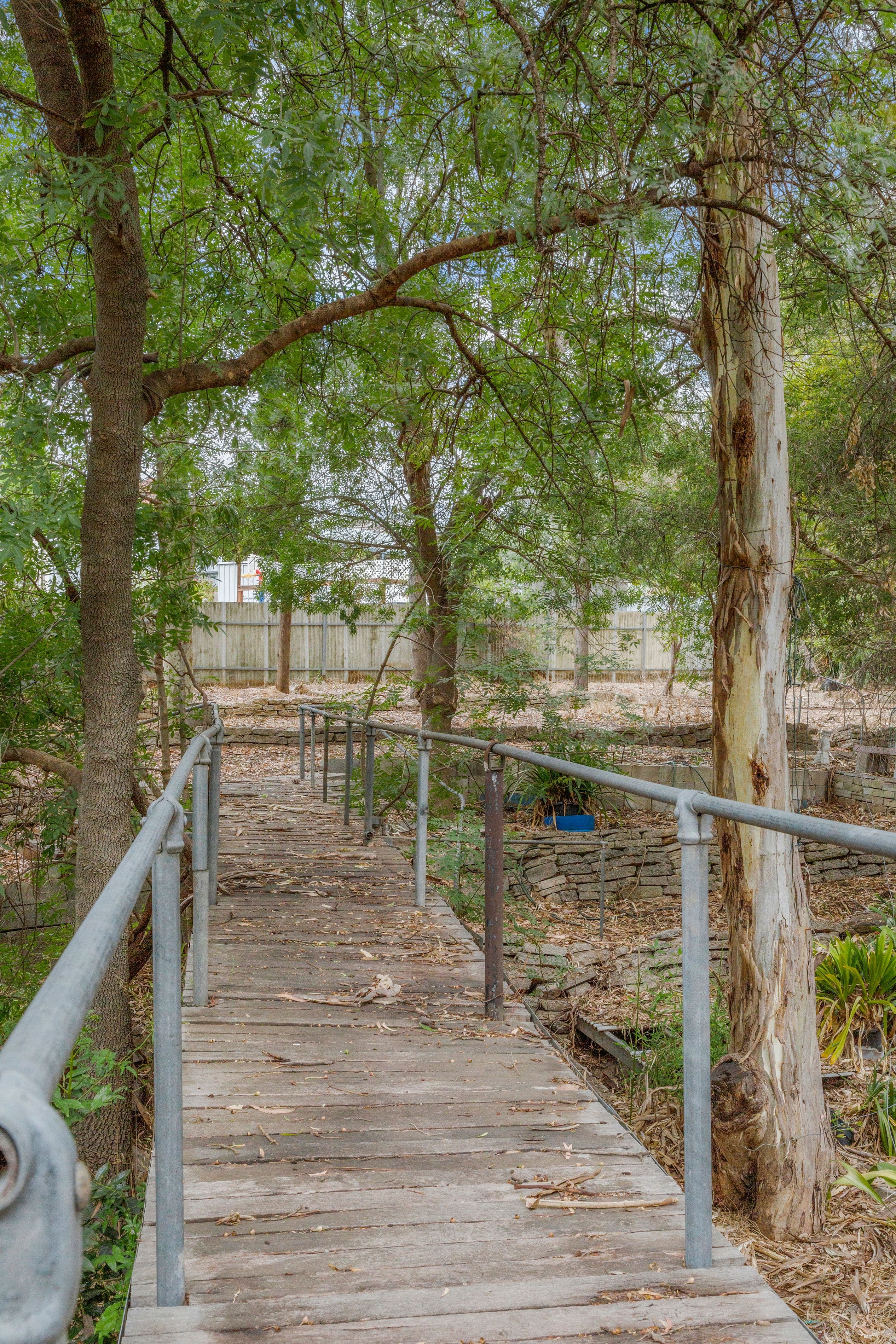 1 Magnolia Court, Banksia Park SA 5091, Banksia Park - Thumbnail 4