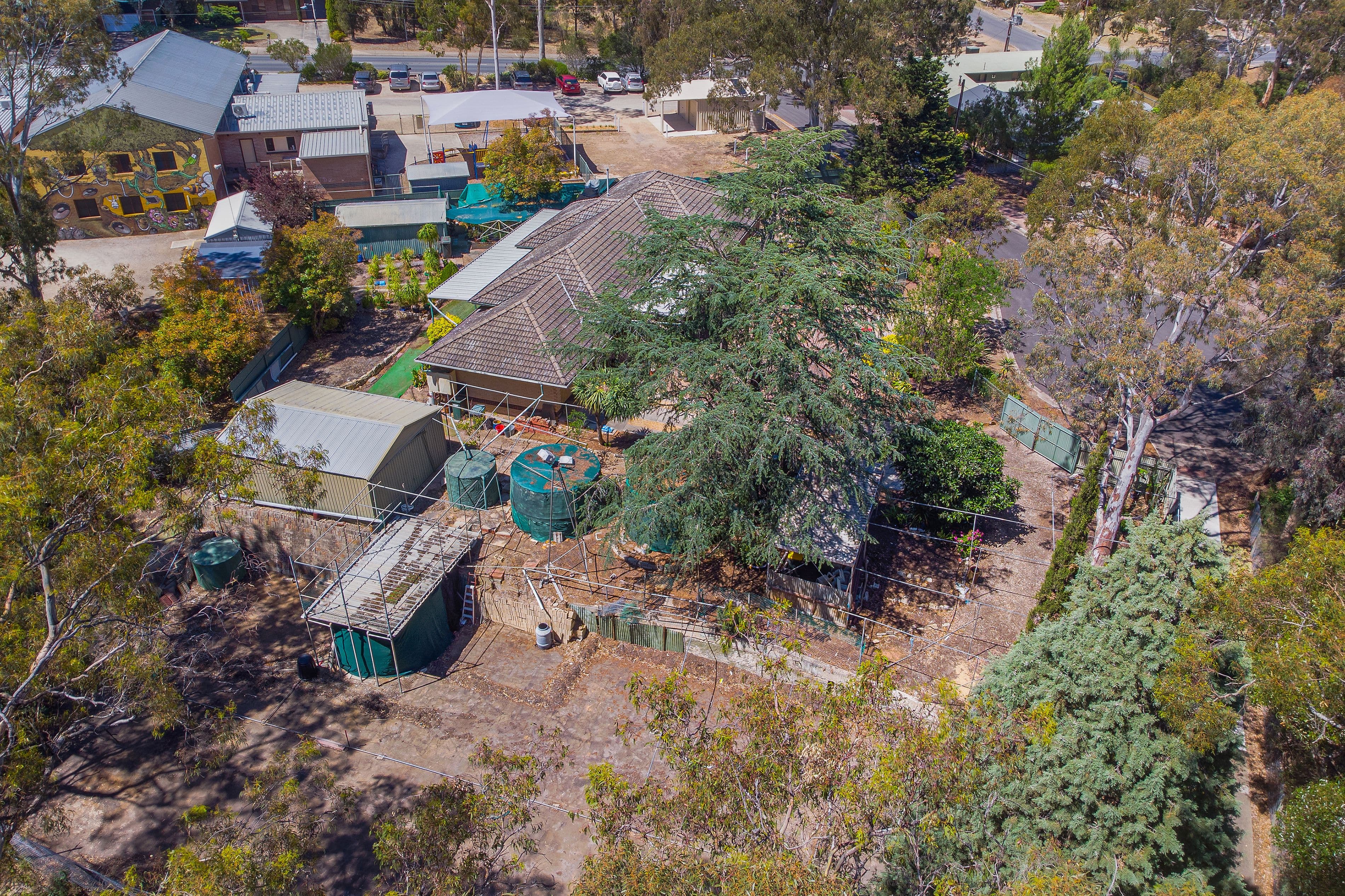 1 Magnolia Court, Banksia Park SA 5091, Banksia Park - Thumbnail 5