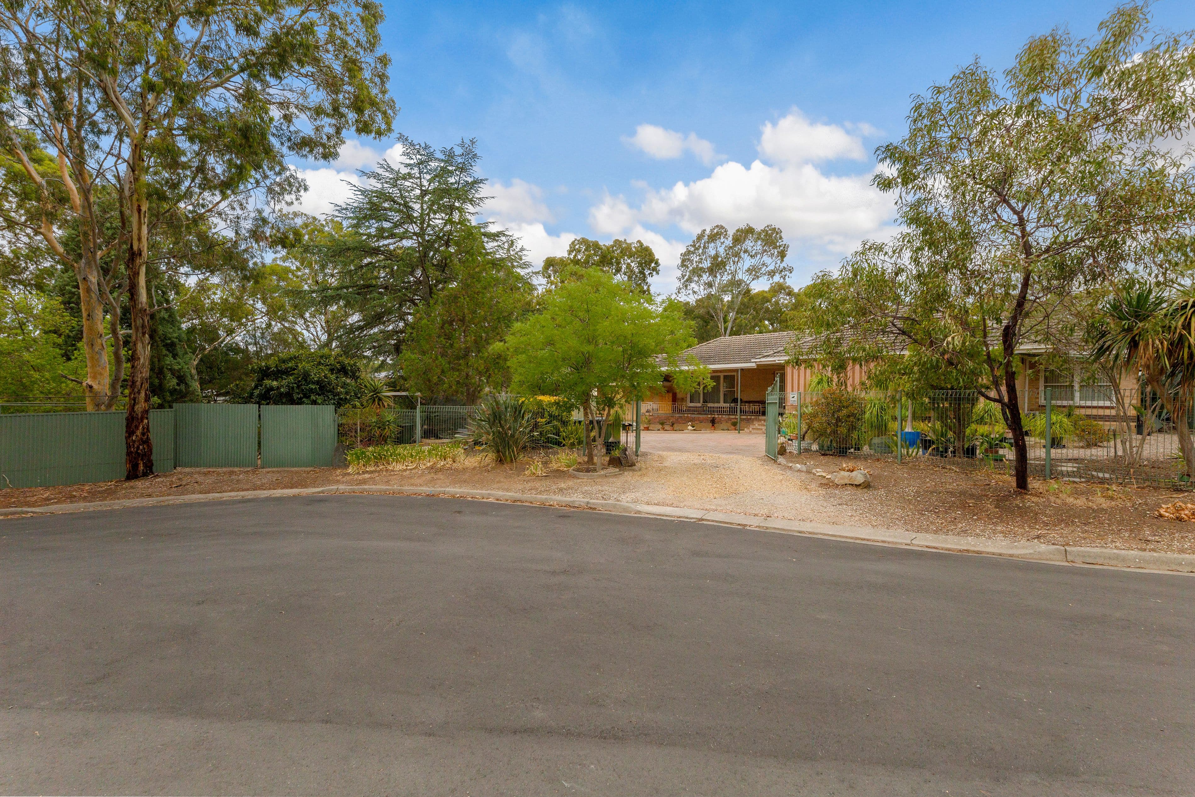 1 Magnolia Court, Banksia Park SA 5091, Banksia Park - Thumbnail 6