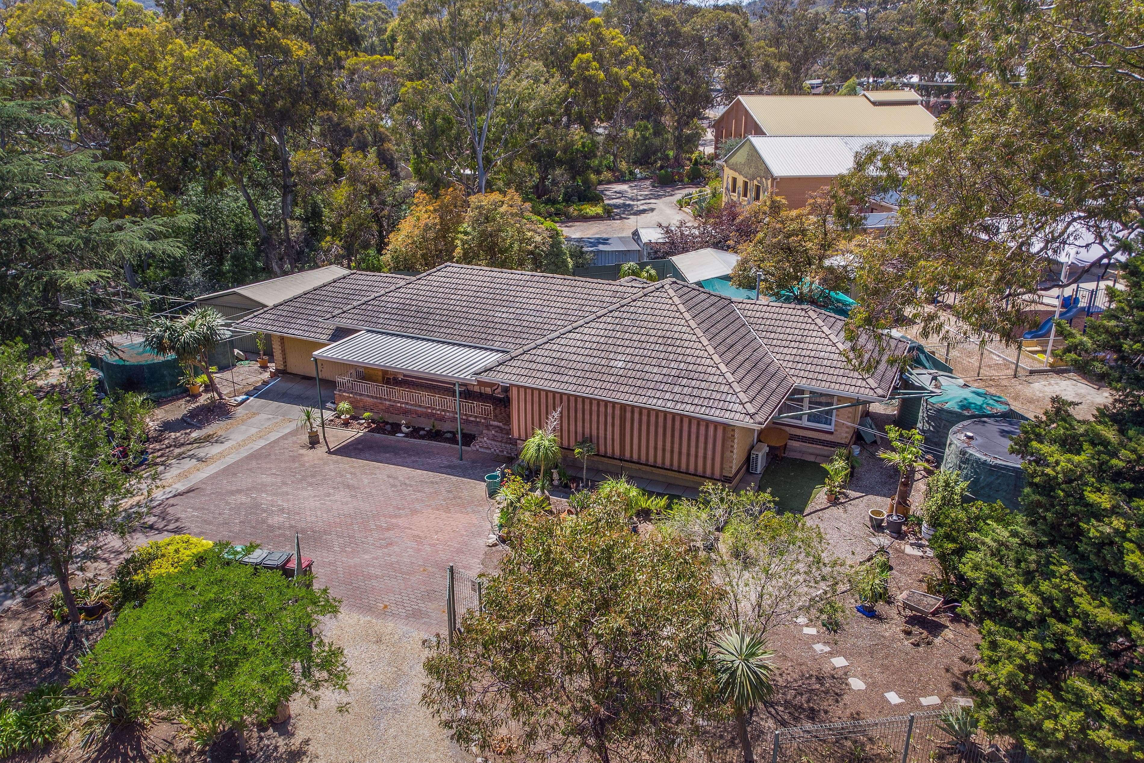 1 Magnolia Court, Banksia Park SA 5091, Banksia Park - Thumbnail 7
