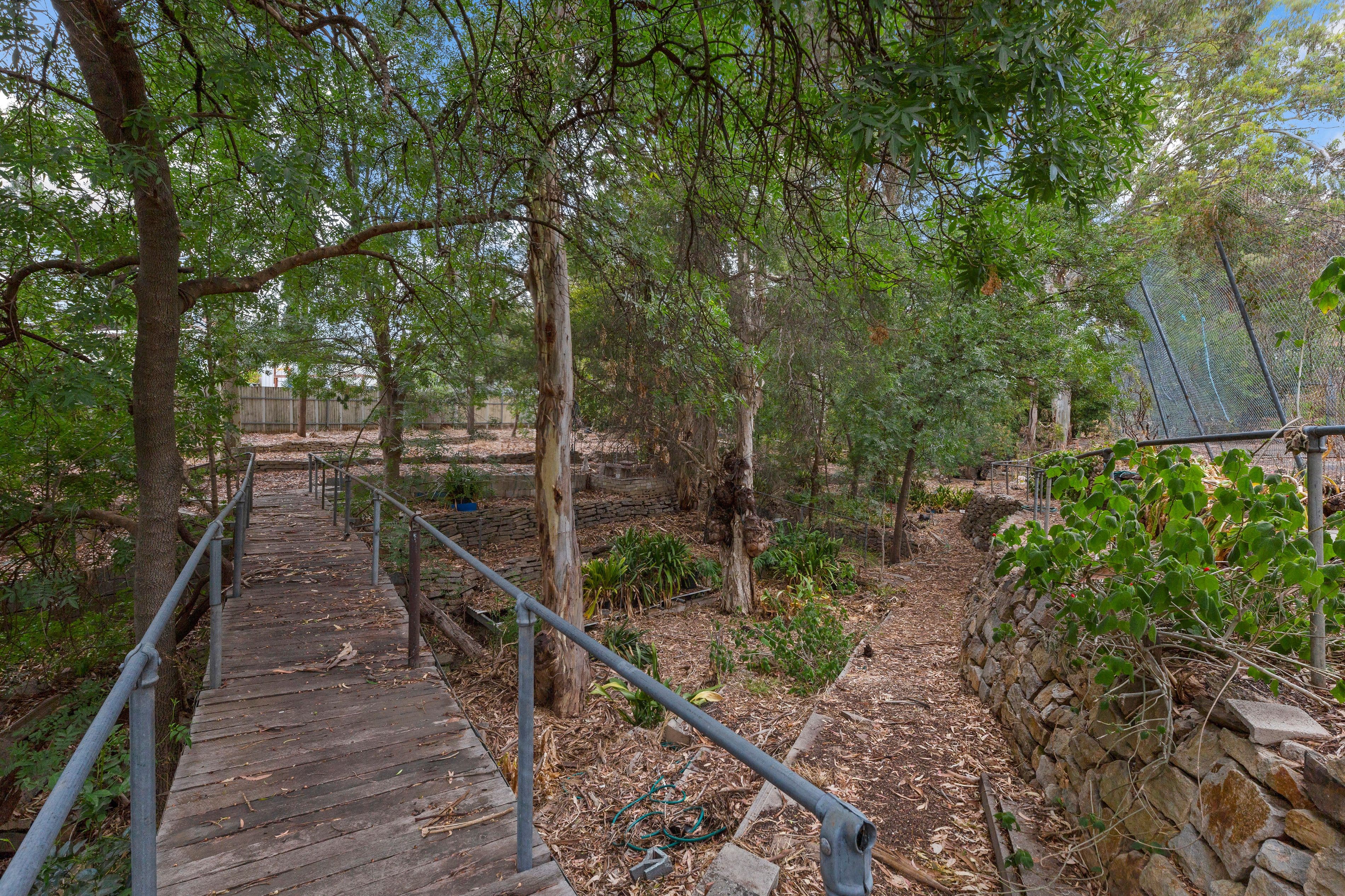 1 Magnolia Court, Banksia Park SA 5091, Banksia Park - Thumbnail 8