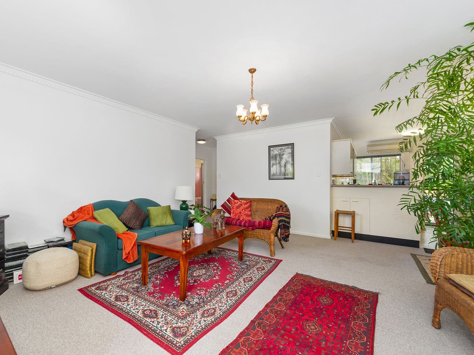 40 Armagh Street, Clayfield QLD 4011, Clayfield - Thumbnail 3
