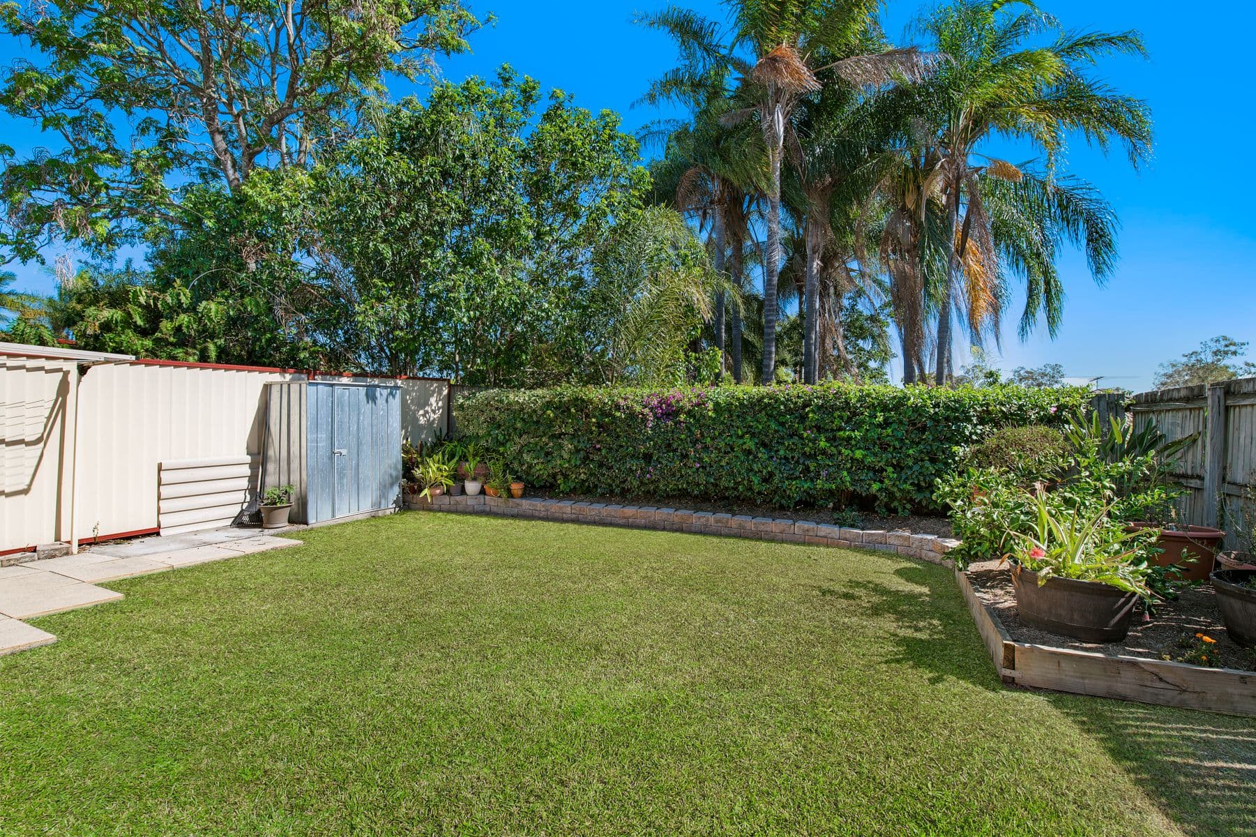 3 Greene Street, Rothwell QLD 4022, Rothwell - Thumbnail 8