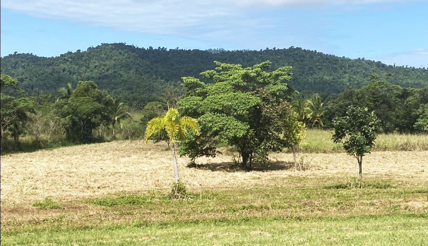Lot 2 El Arish/Mission Beach Road, Mission Beach QLD 4852, Mission Beach - Thumbnail 5