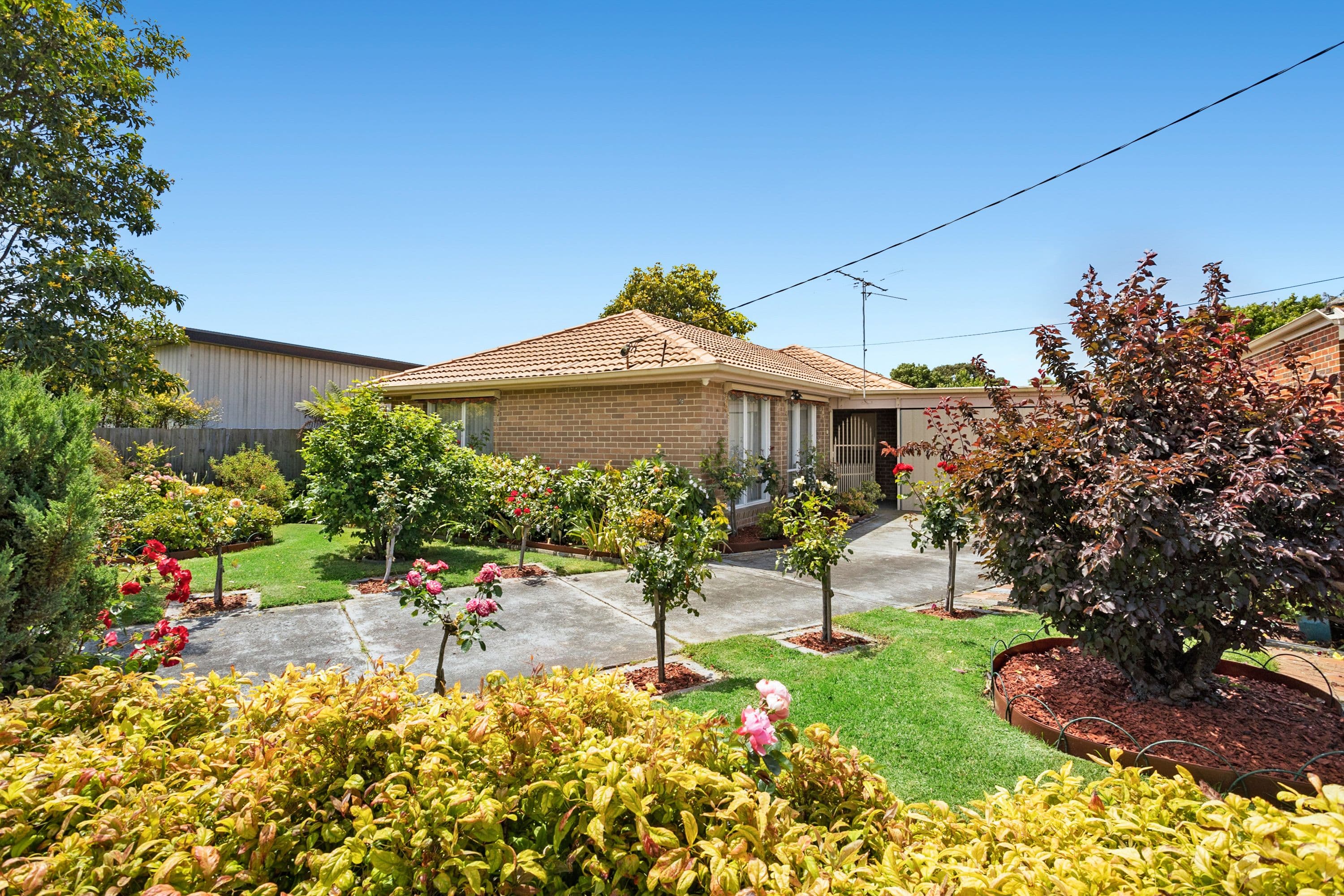 36 Whyte Street, Capel Sound VIC 3940, Capel Sound - Image 1