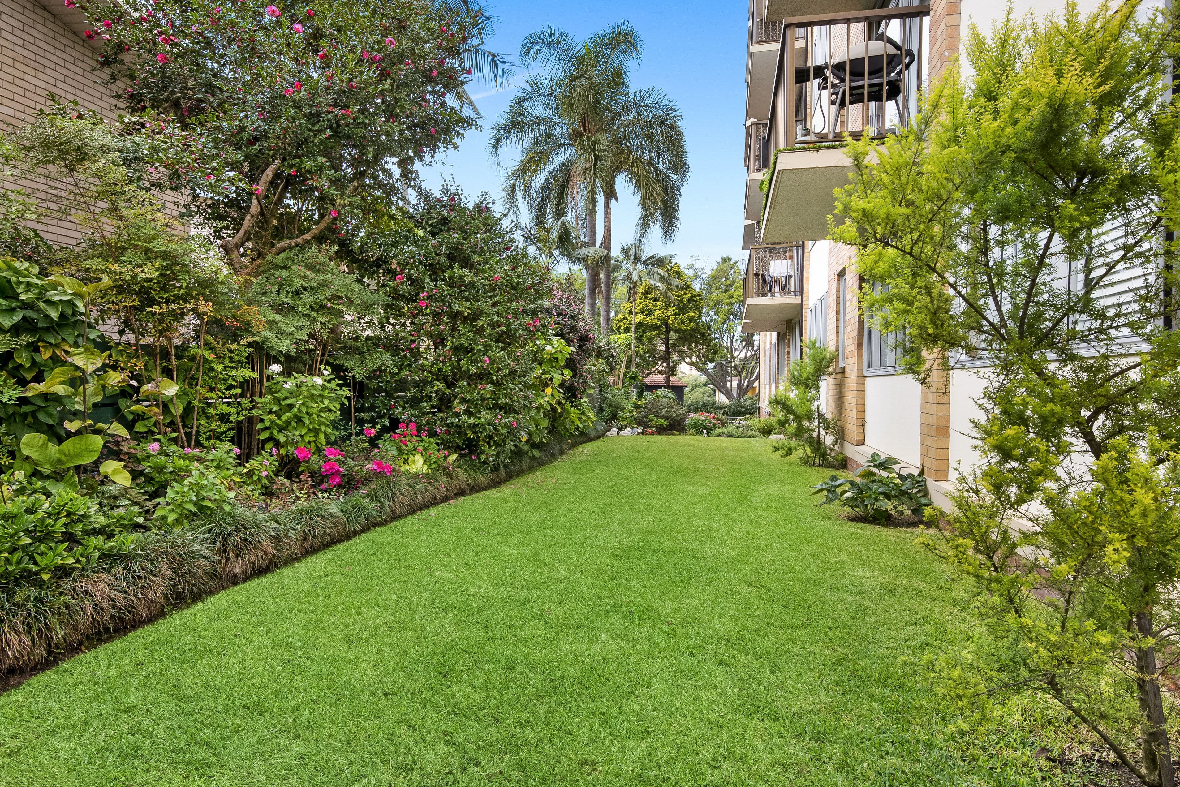 372 Edgecliff Road, Woollahra NSW 2025, Woollahra - Thumbnail 2