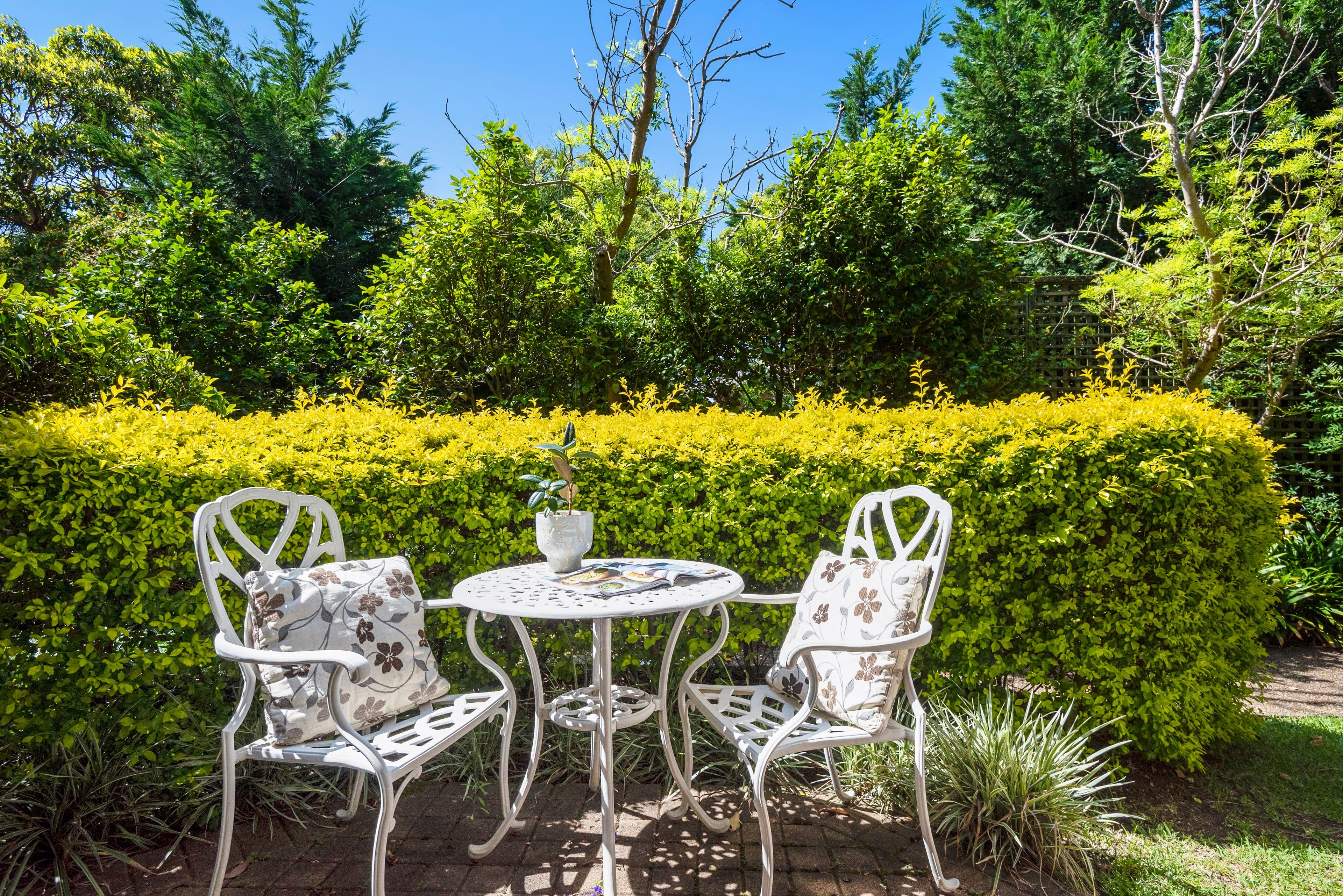 6 Hale Road, Mosman NSW 2088, Mosman - Thumbnail 5